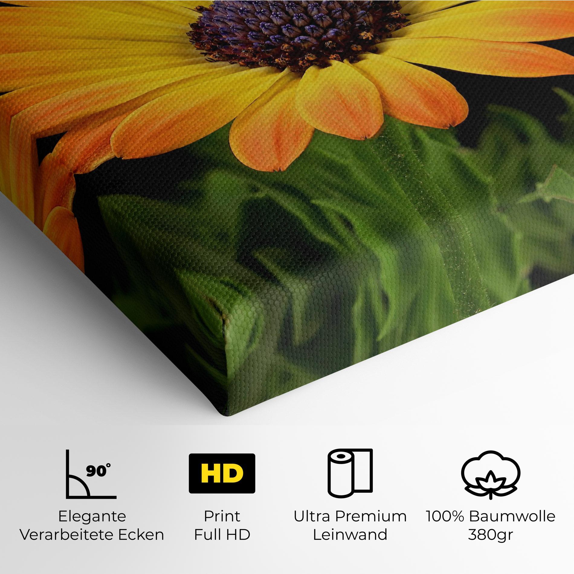 Leinwandbild Yellow Daisy mockup 4