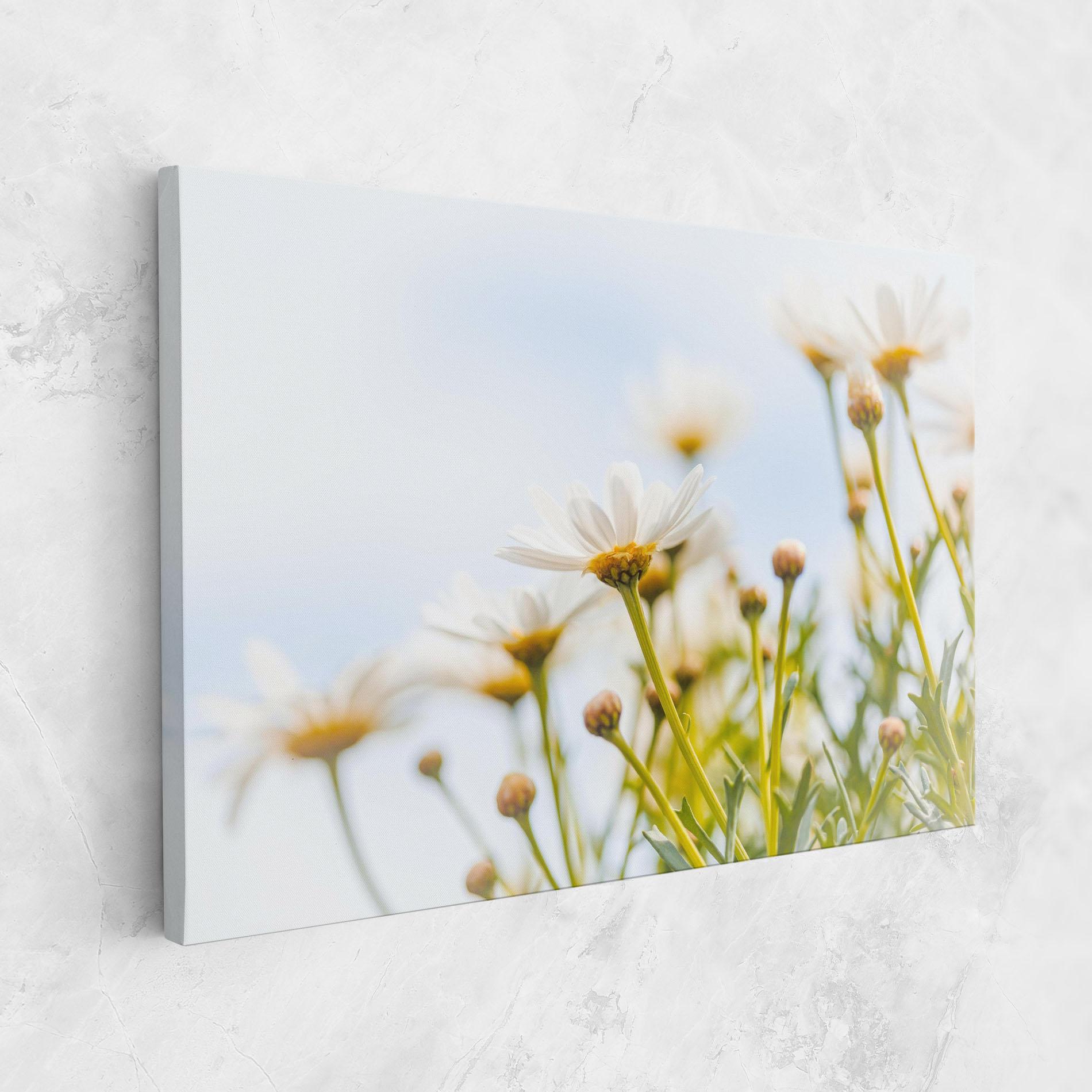 Leinwandbild Dreamy Daisy mockup 1
