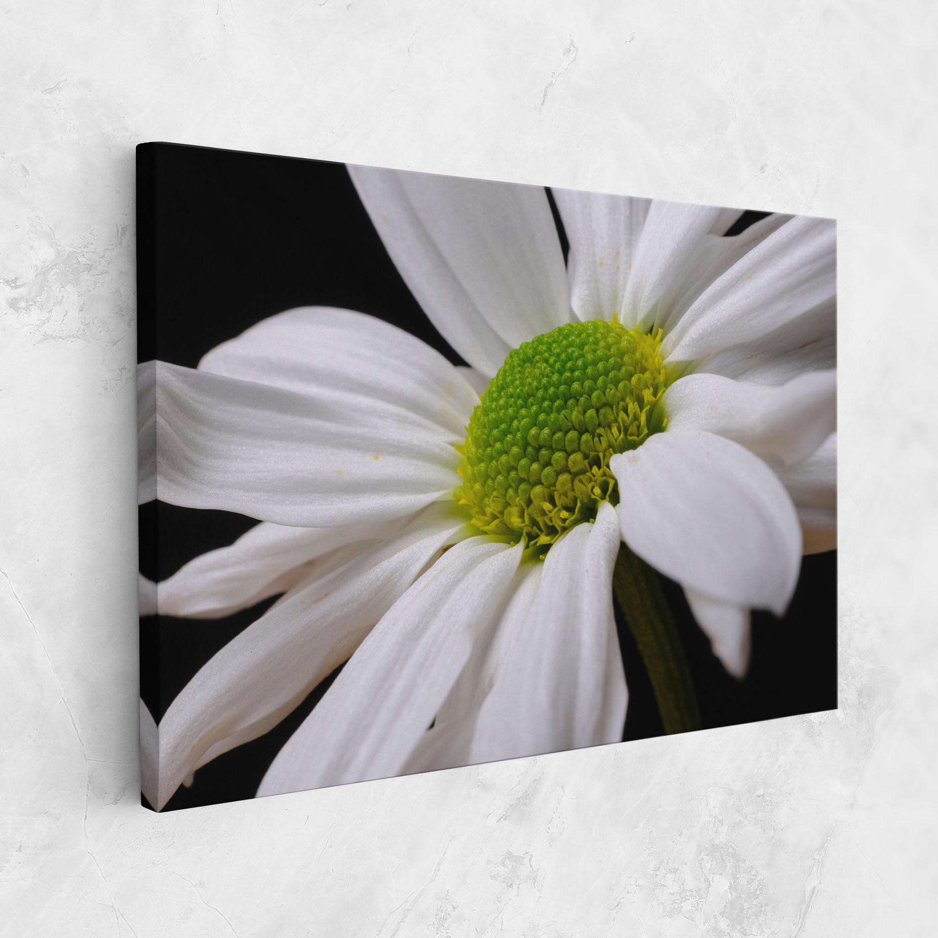 Leinwandbild Green Middle Daisy mockup 1