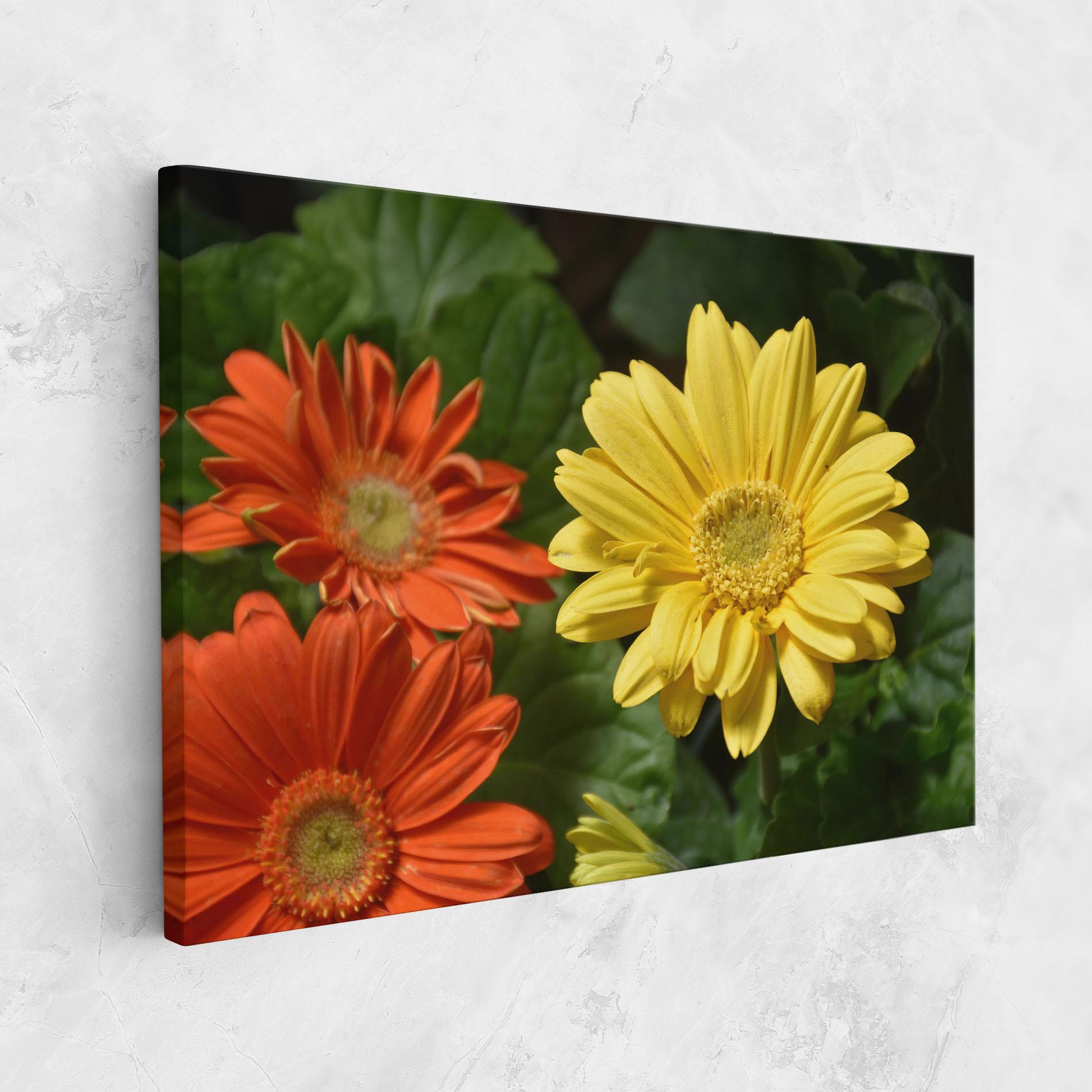 Leinwandbild Orange Yellow Daisy mockup 1