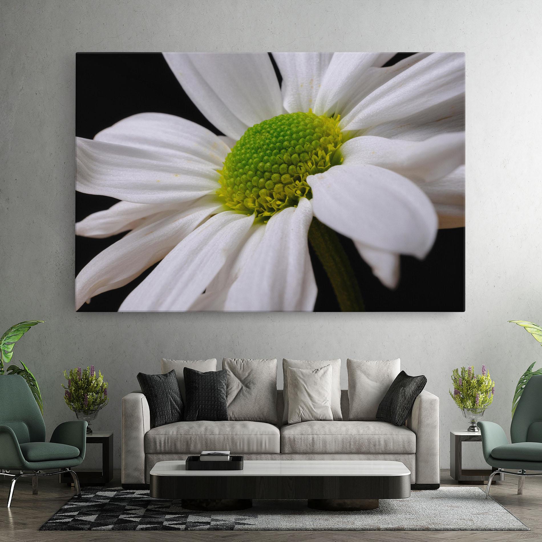 Leinwandbild Green Middle Daisy mockup 7