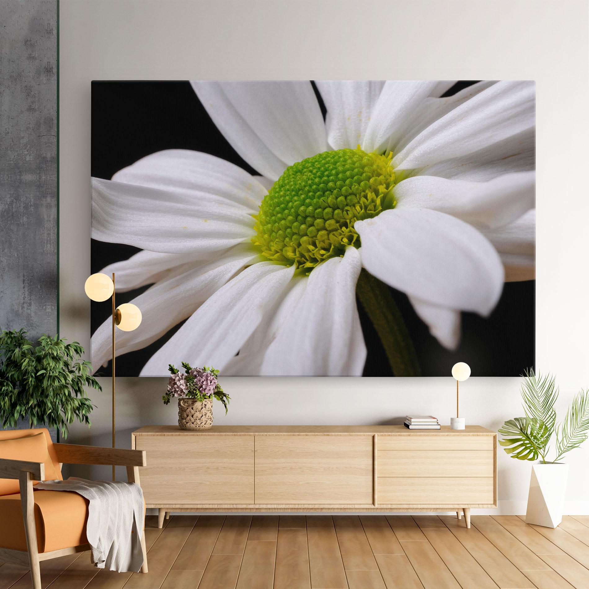Leinwandbild Green Middle Daisy mockup 9