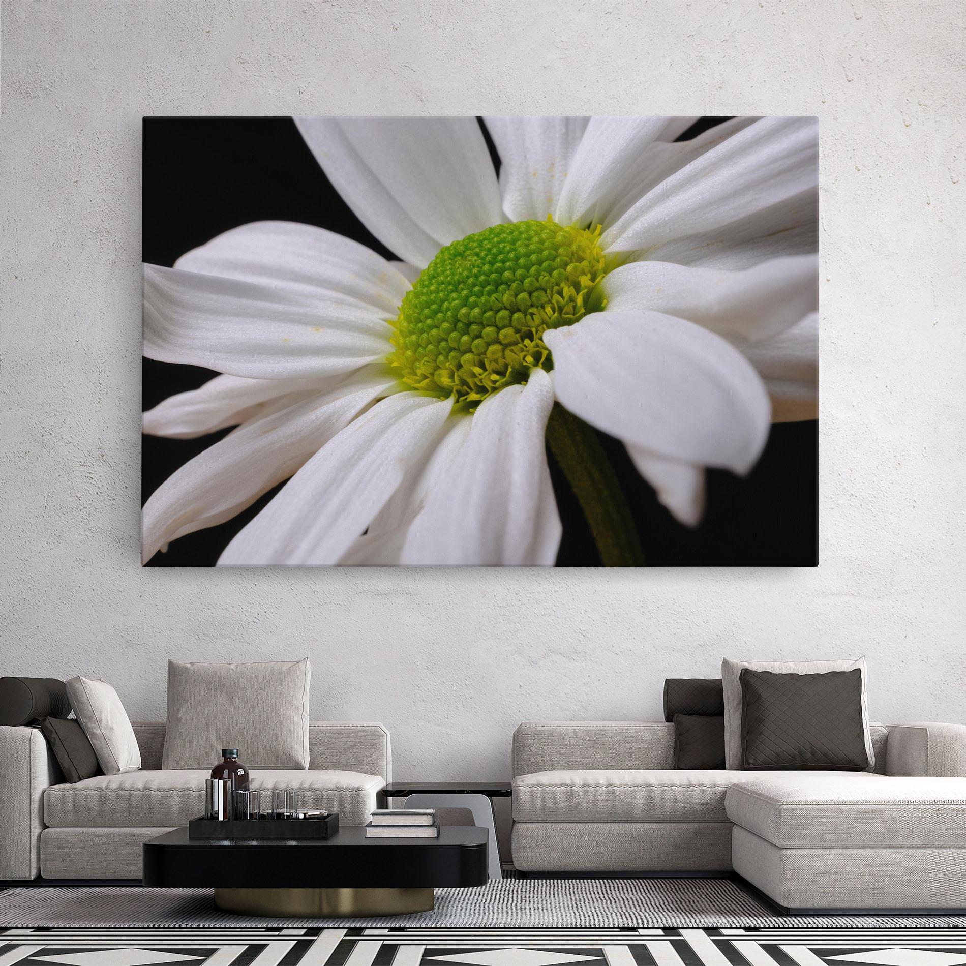 Leinwandbild Green Middle Daisy mockup 2