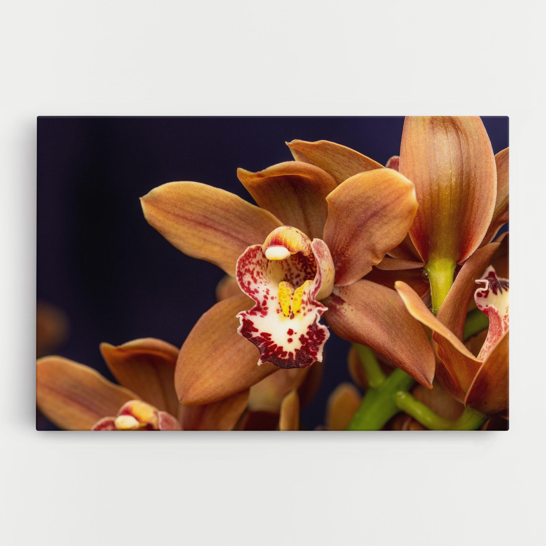 Leinwandbild Dirty Orange Orchid mockup 0