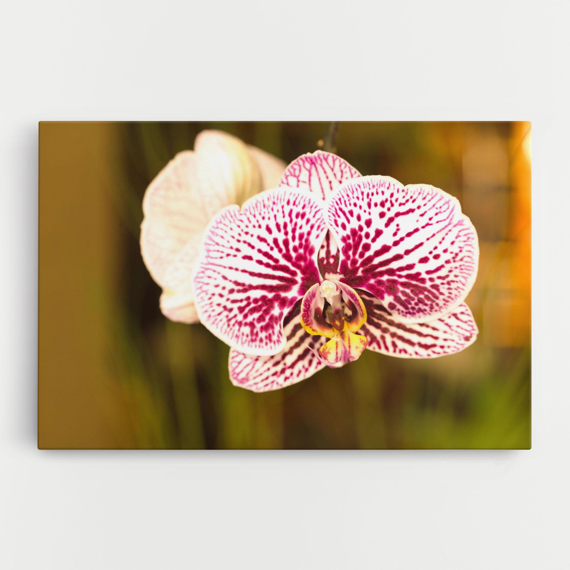 Leinwandbild Garden Orchids mockup 0