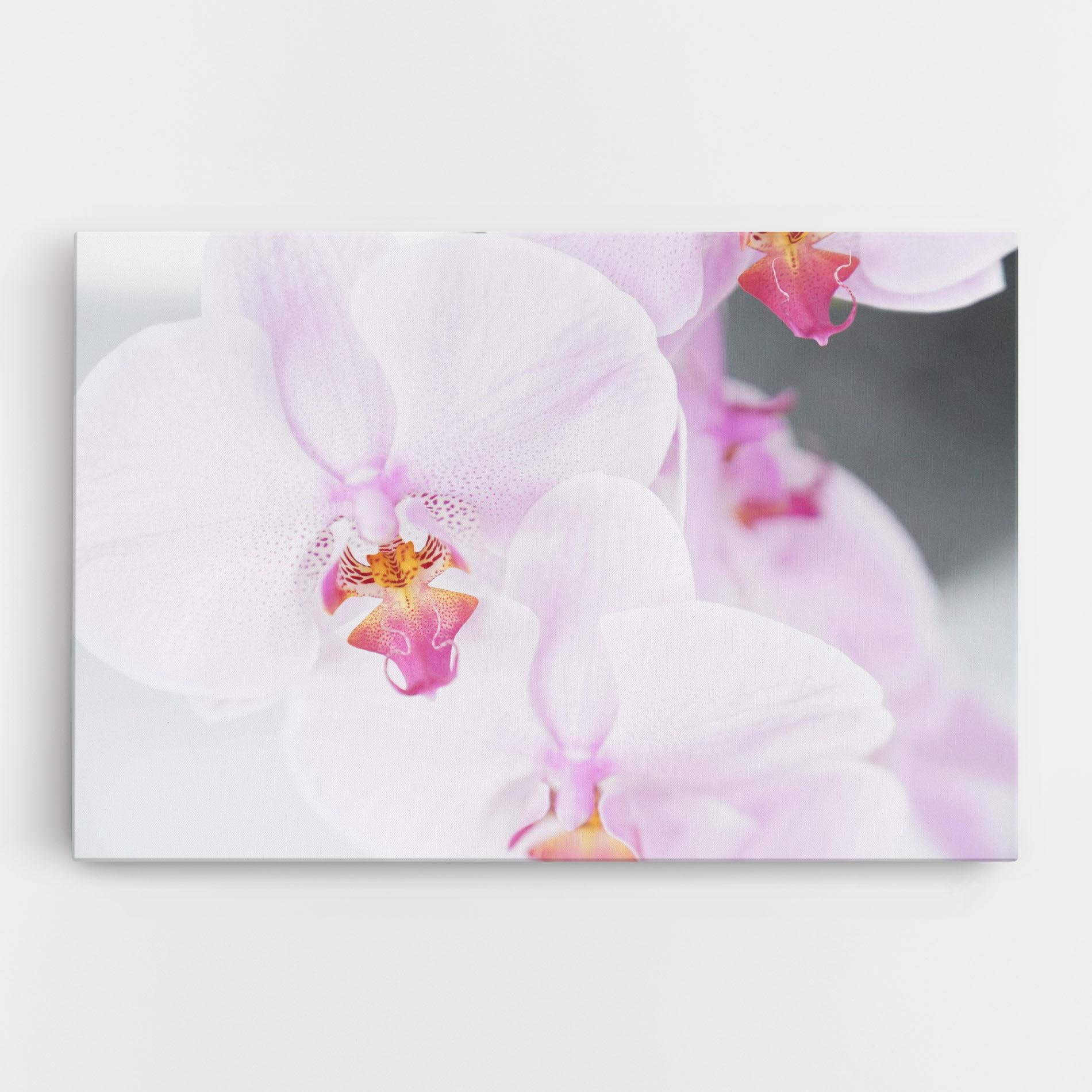 Leinwandbild Light Purple Orchid mockup 0