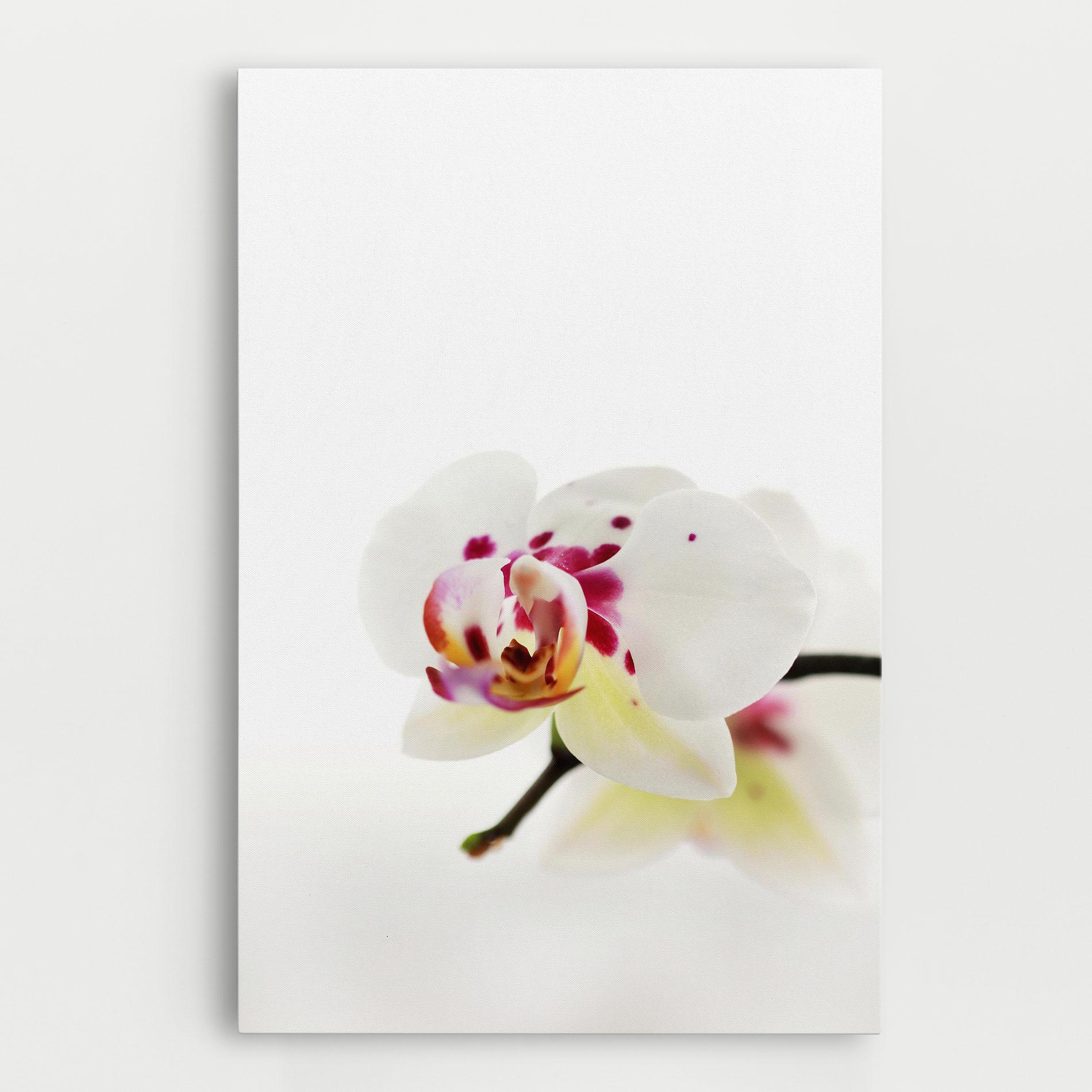 Leinwandbild Clean White Orchid mockup 0