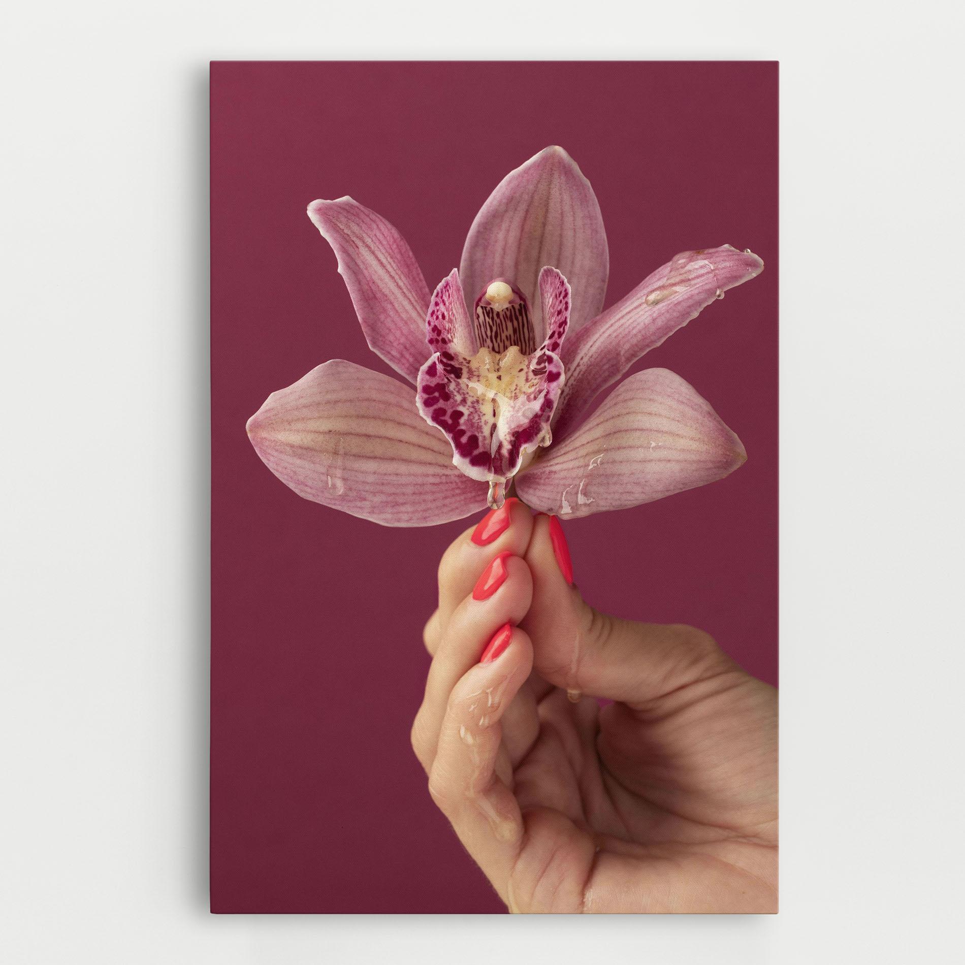 Leinwandbild Orchid Holding mockup 0