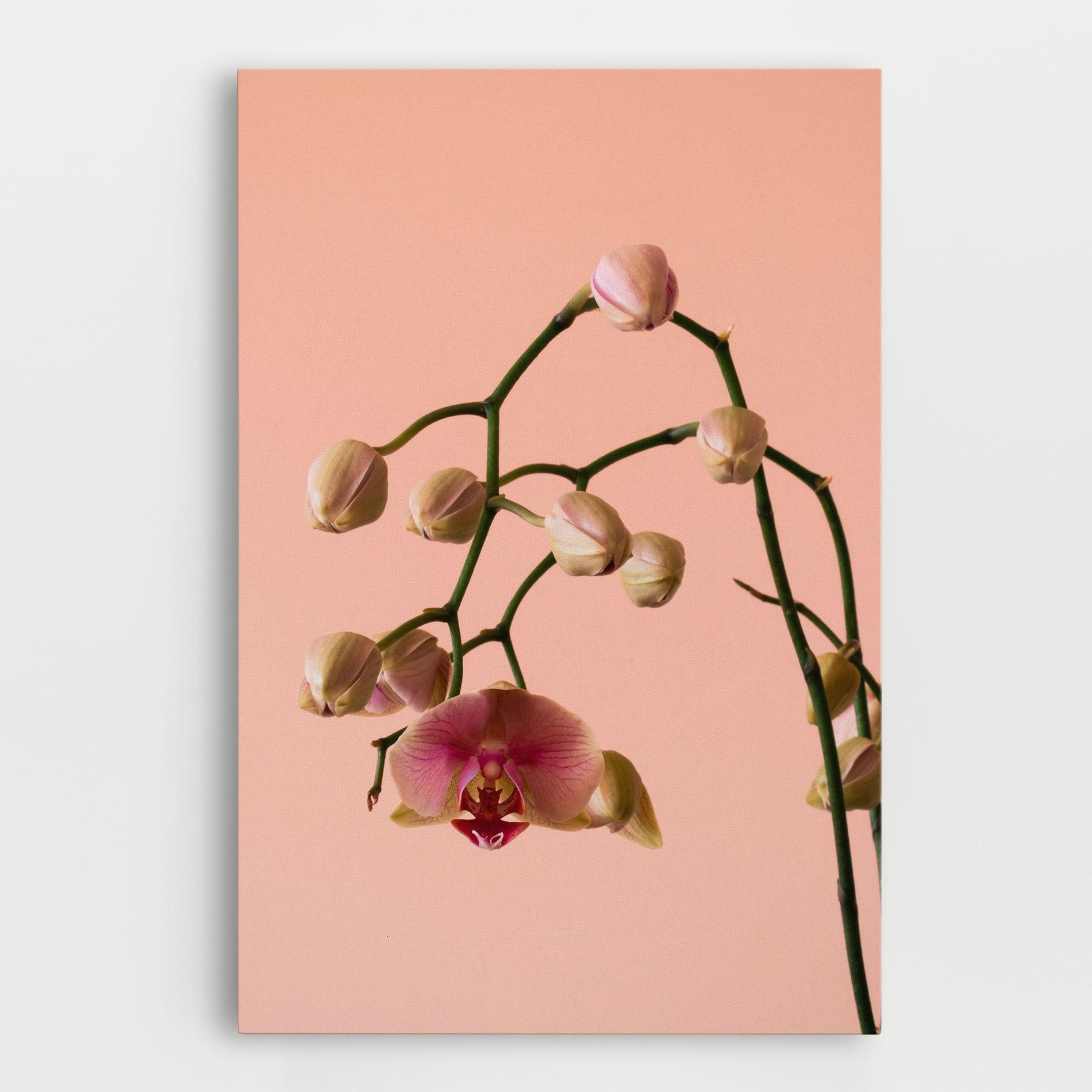 Leinwandbild Orchids On Pink mockup 0