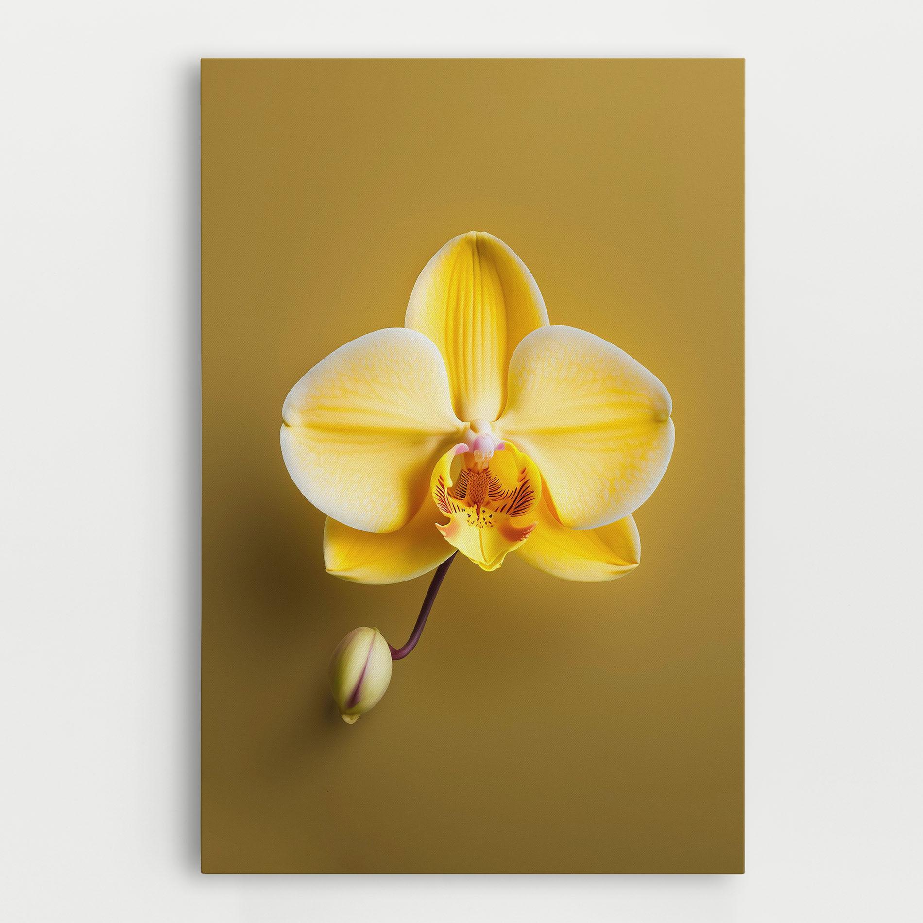Leinwandbild Pastel Yellow Orchid mockup 0