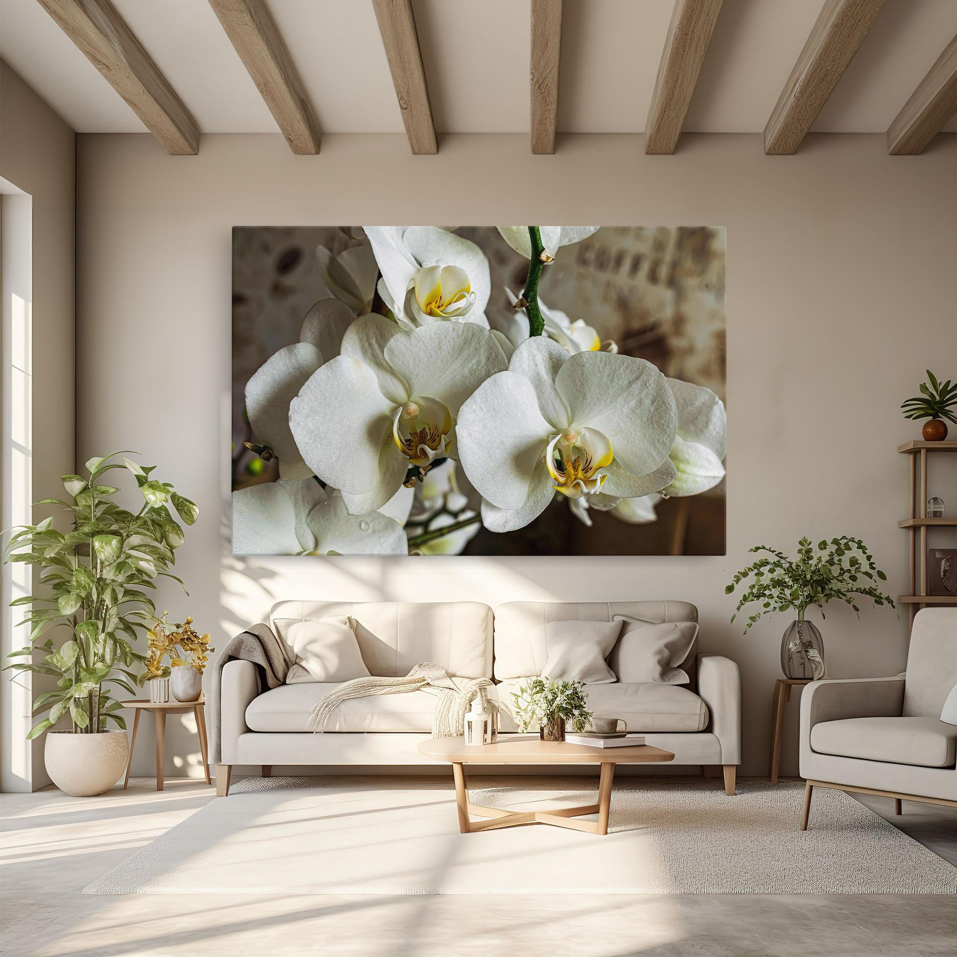 Leinwandbild Beautiful White Orchids mockup 6