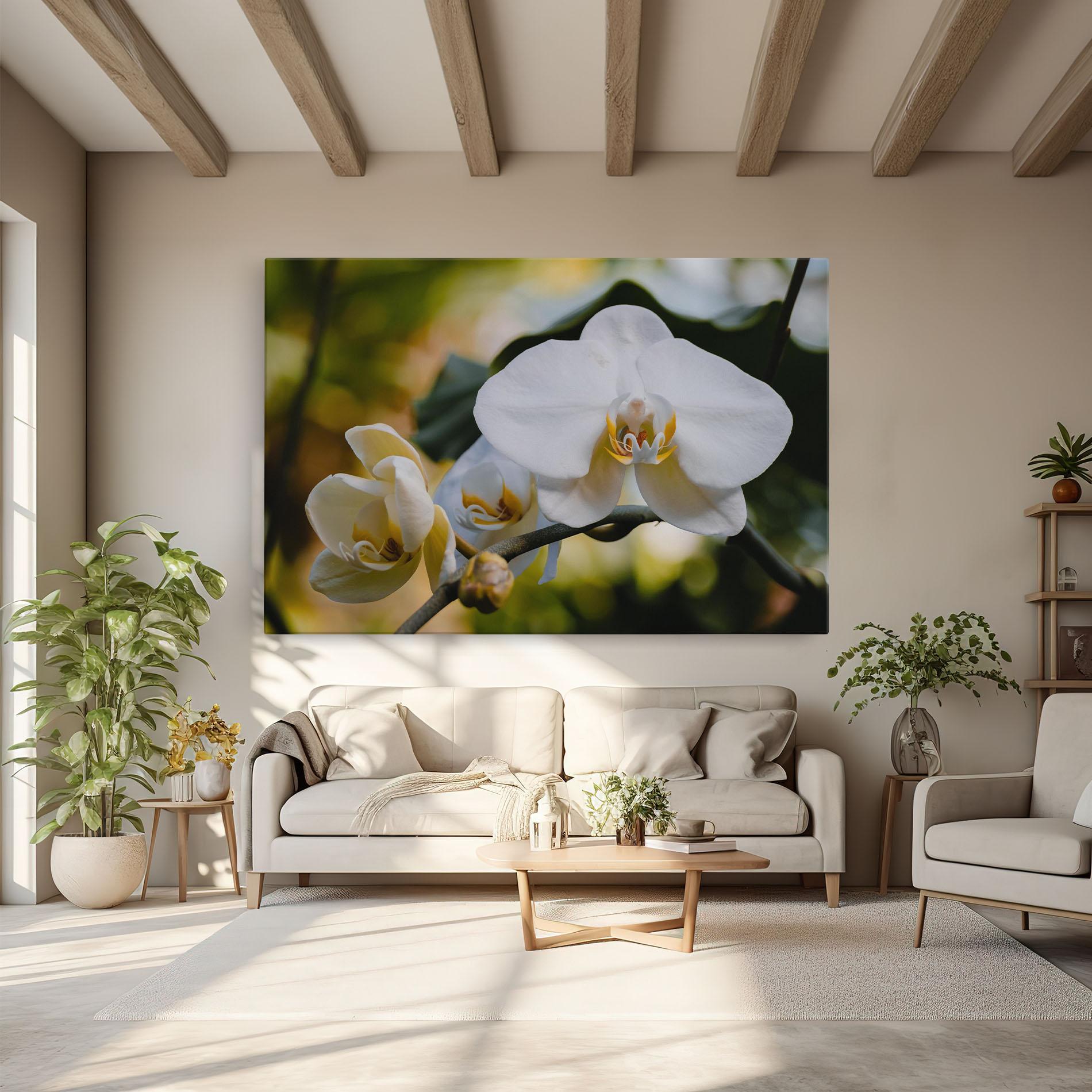 Leinwandbild Cream Orchid In Nature mockup 6