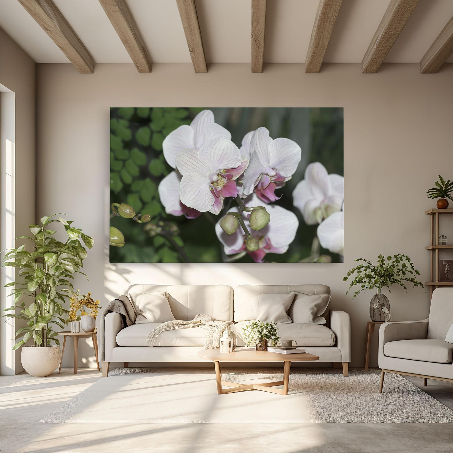 Leinwandbild Orchid Botanical Garden mockup 6