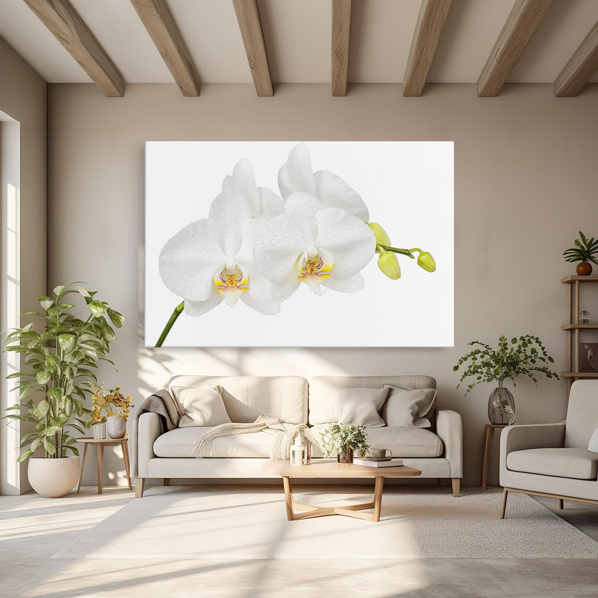 Leinwandbild Orchids On White mockup 6