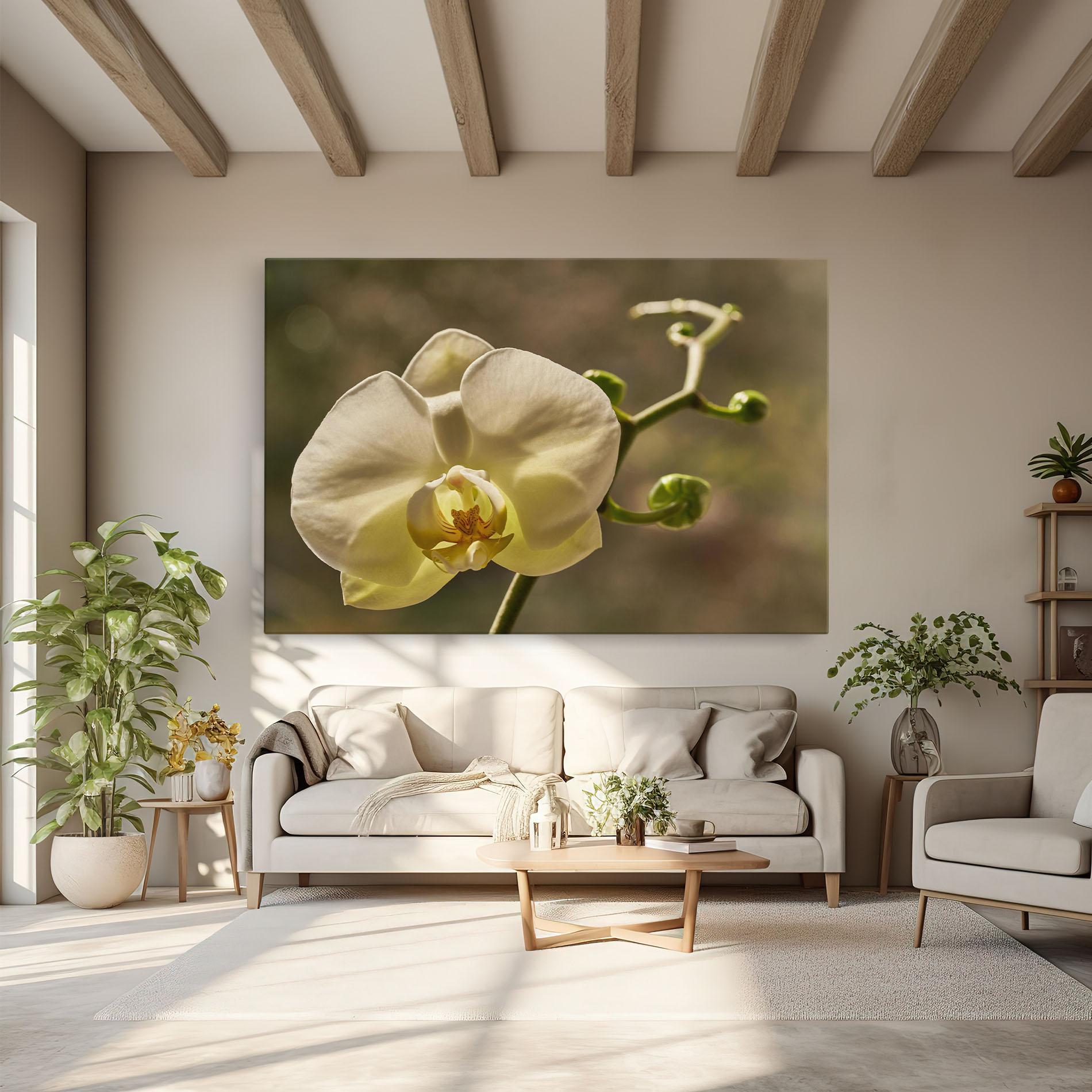 Leinwandbild Pastel Yellow Orchid In Garden mockup 6