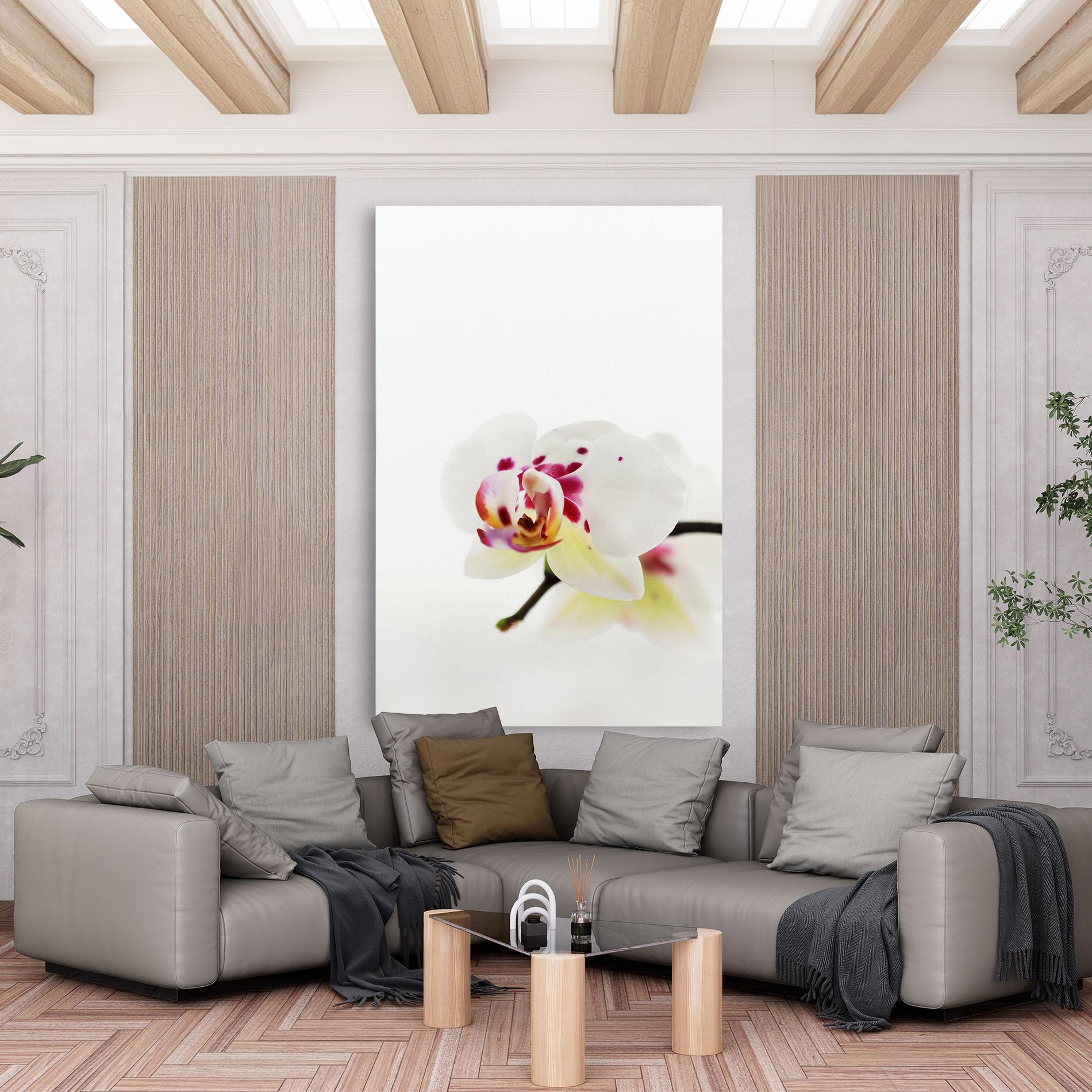 Leinwandbild Clean White Orchid mockup 6