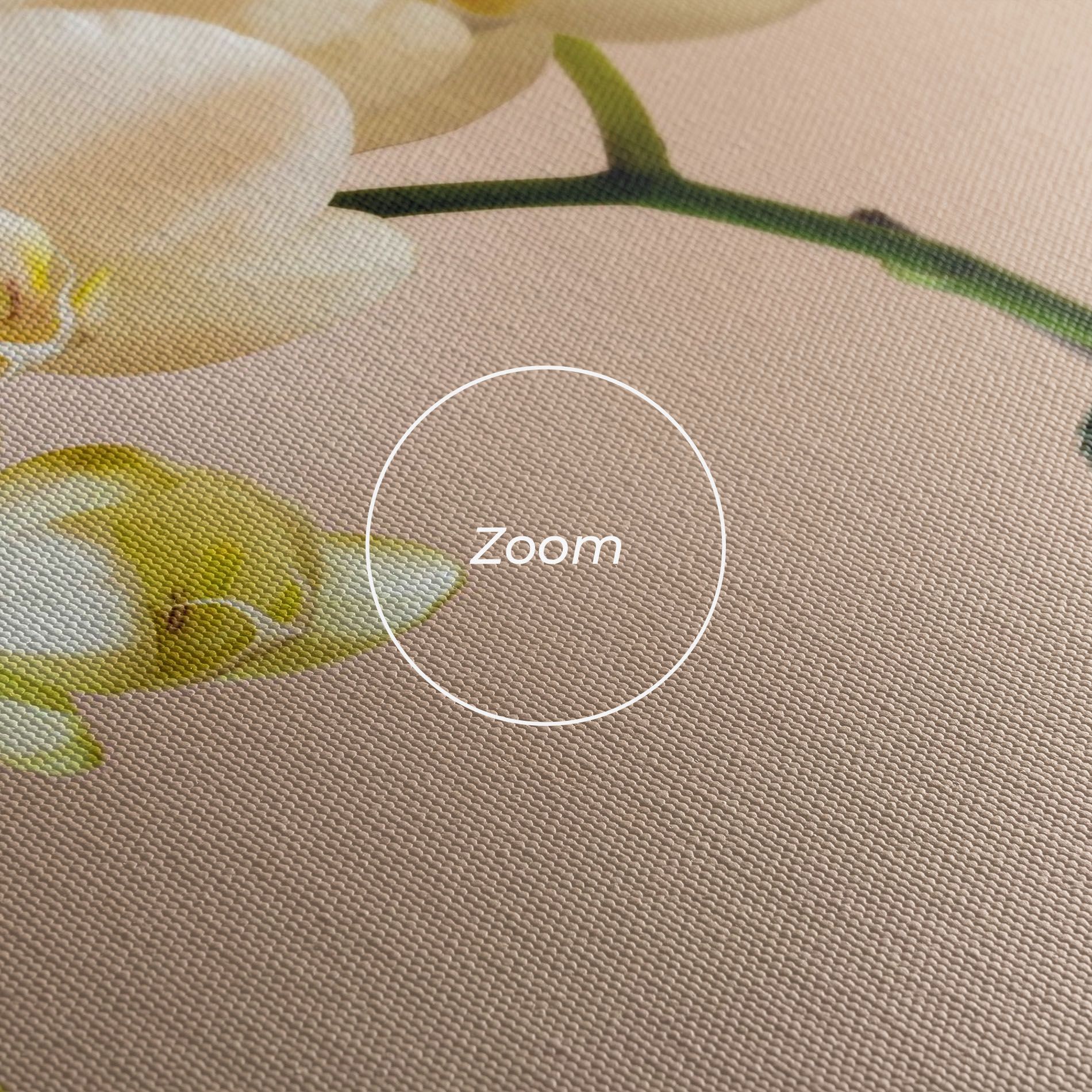 Cream Orchid On Pink mockup 3