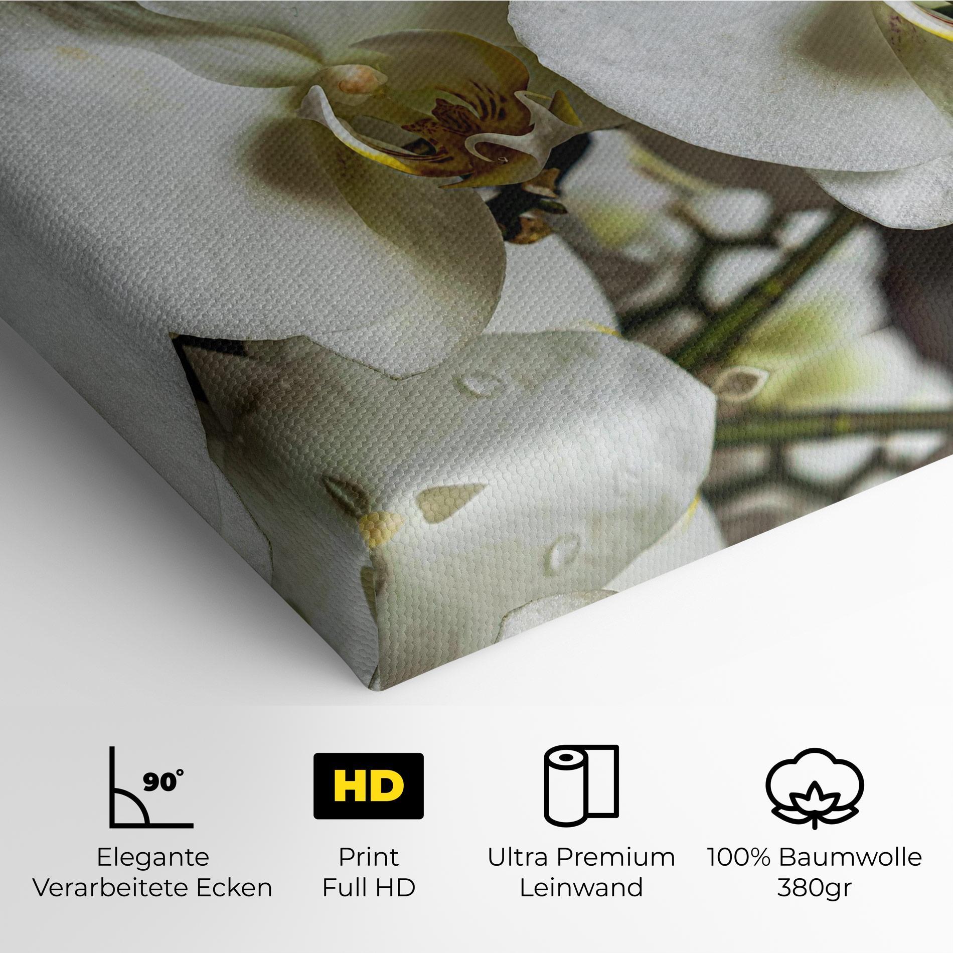 Leinwandbild Beautiful White Orchids mockup 4