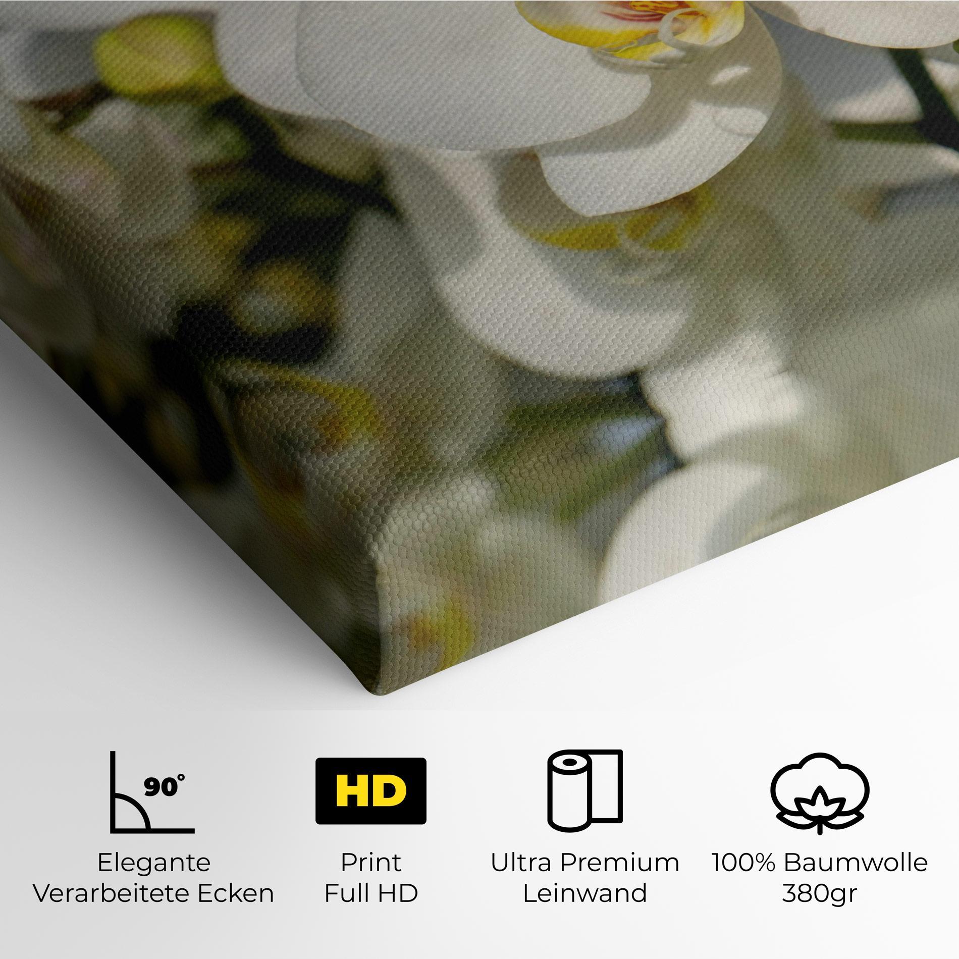 Leinwandbild Big Orchids In Nature mockup 4