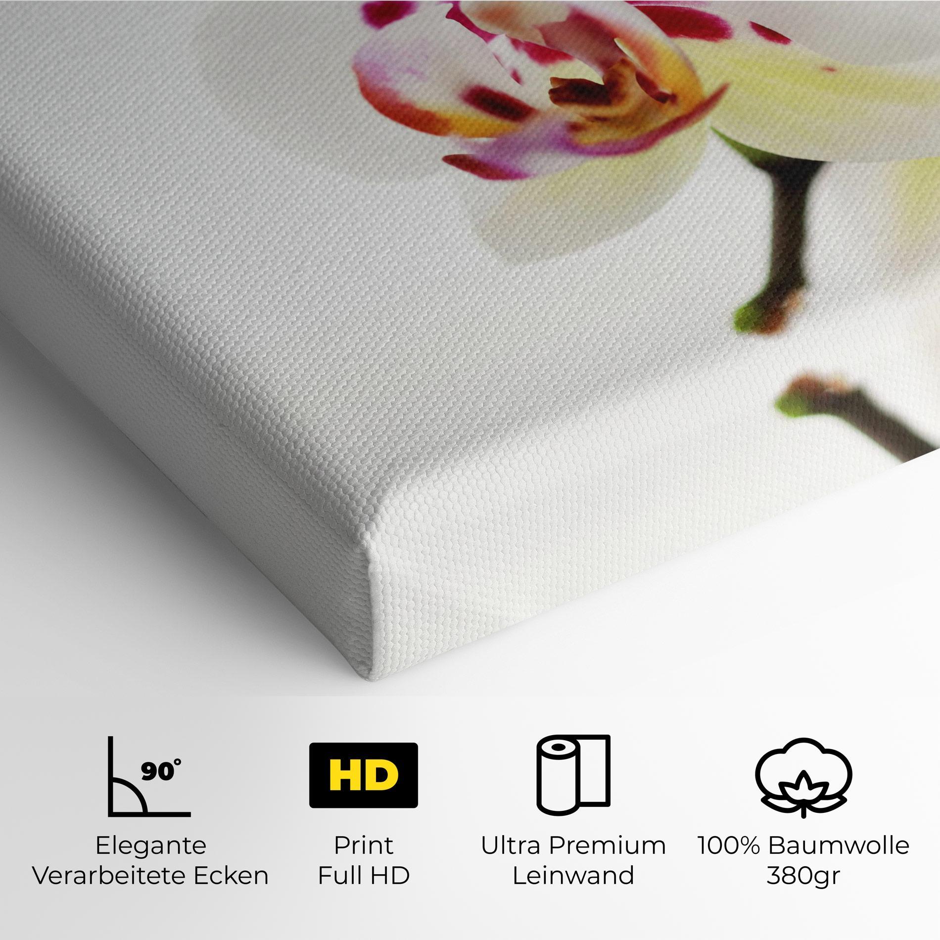 Leinwandbild Clean White Orchid mockup 4