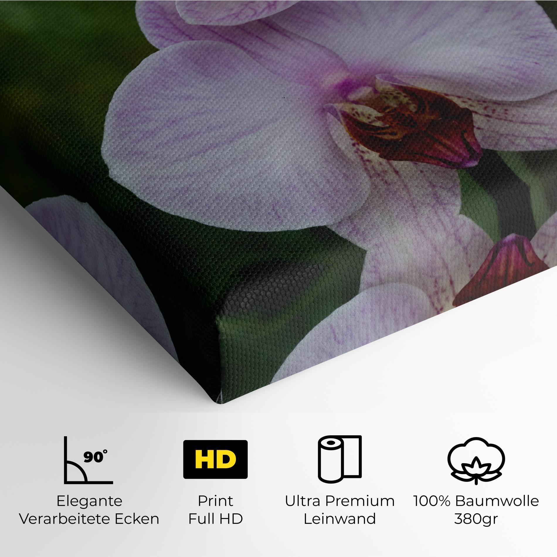 Leinwandbild Garden Light Purple Orchid mockup 4