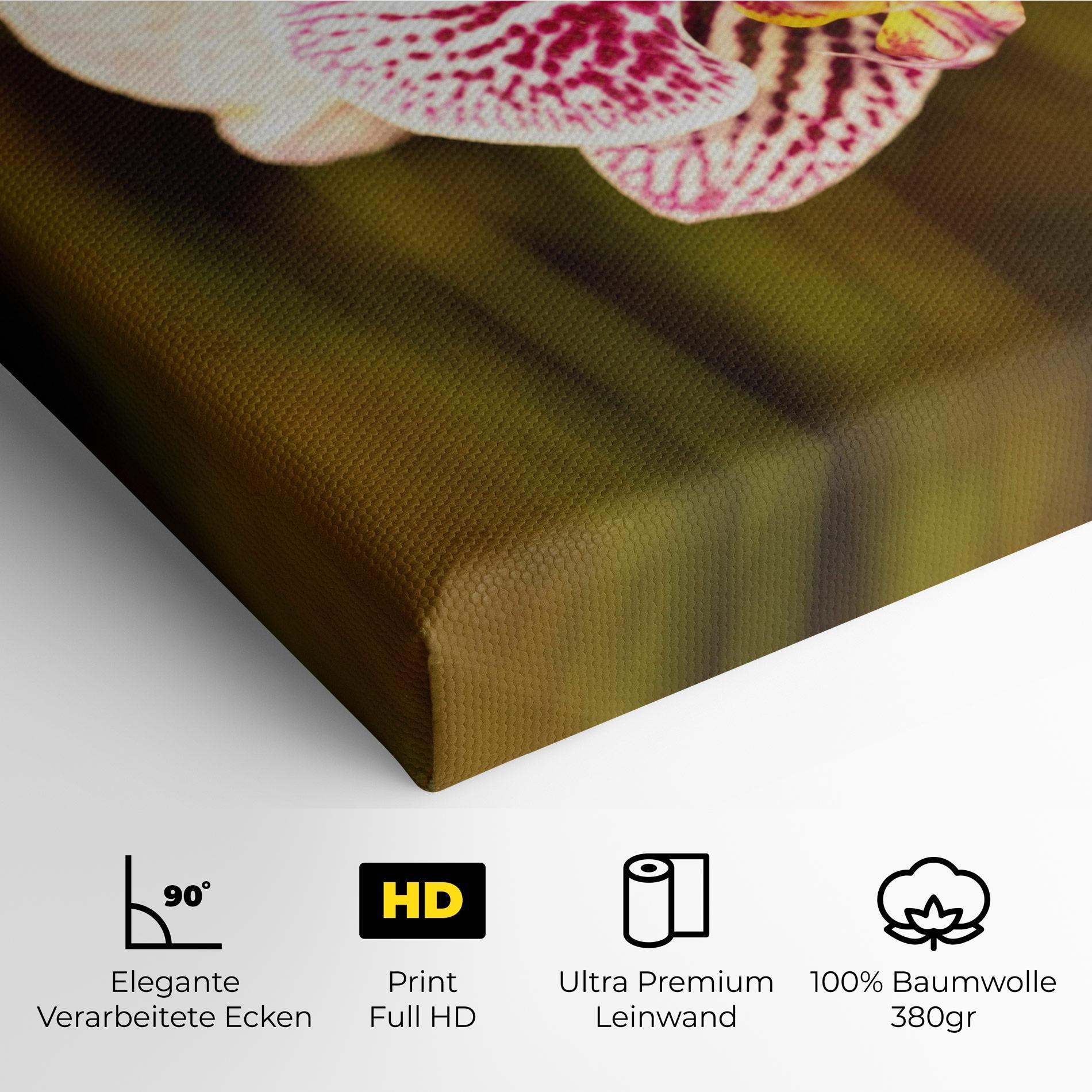 Leinwandbild Garden Orchids mockup 4