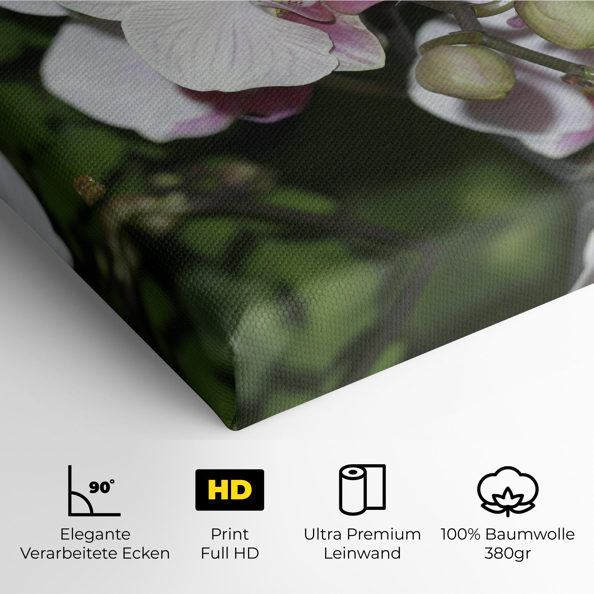 Leinwandbild Orchid Botanical Garden mockup 4