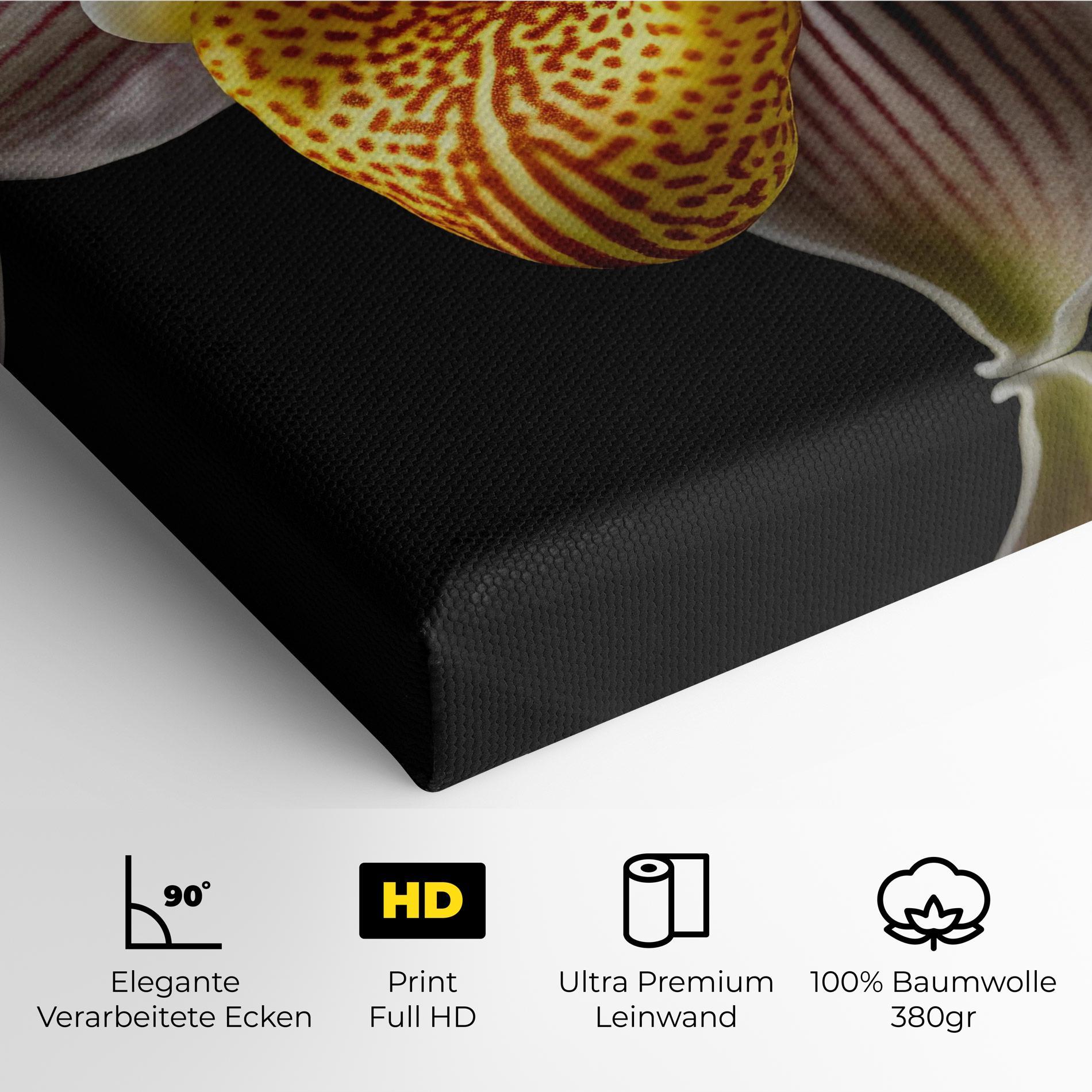 Leinwandbild Orchid On Black mockup 4