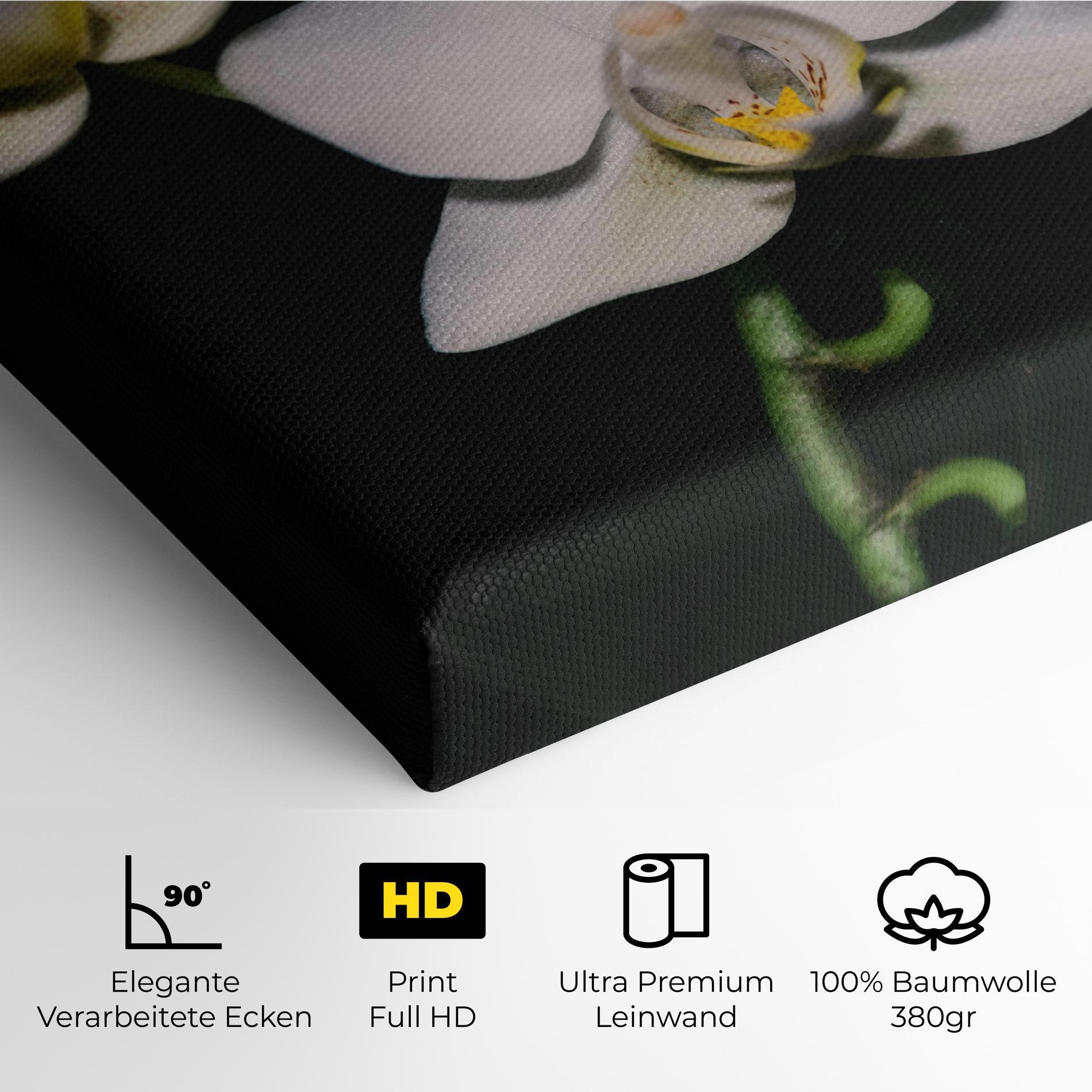 Leinwandbild Orchids On Black mockup 4