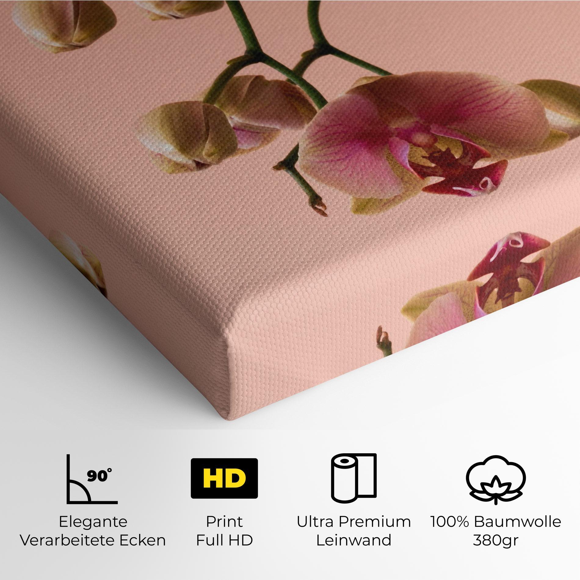 Leinwandbild Orchids On Pink mockup 4