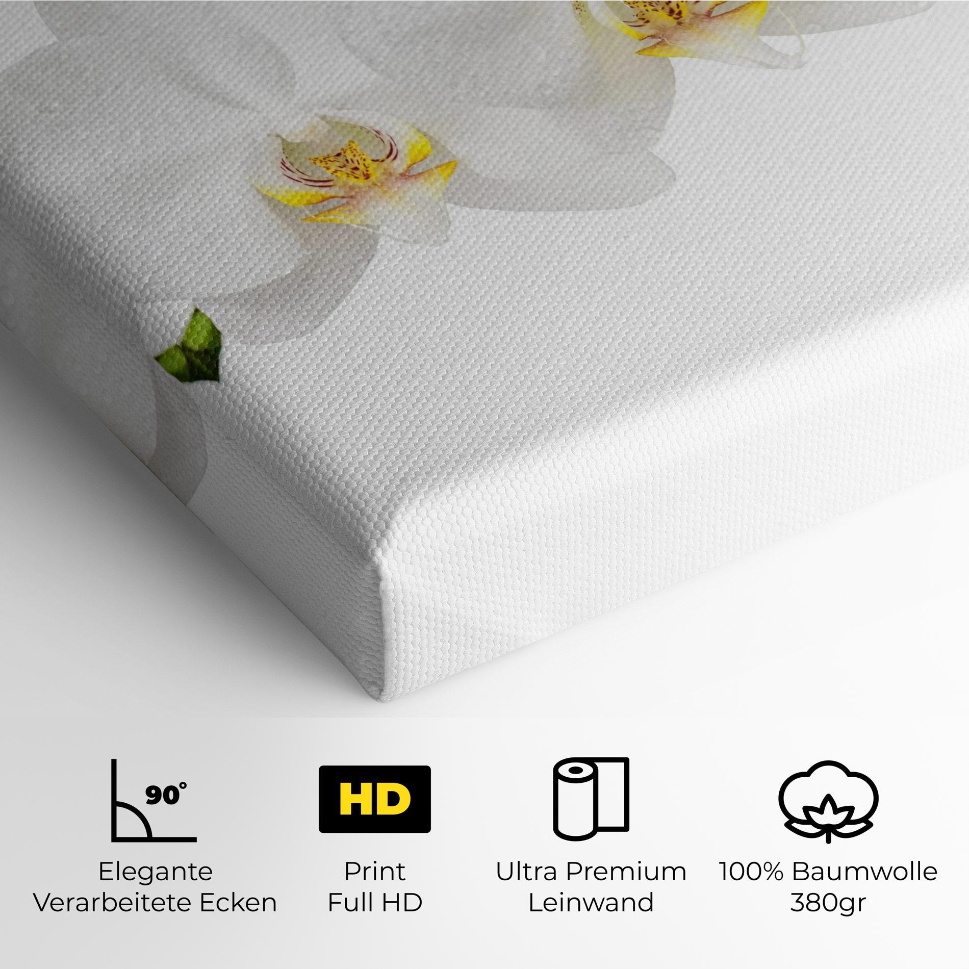 Leinwandbild Orchids On White mockup 4