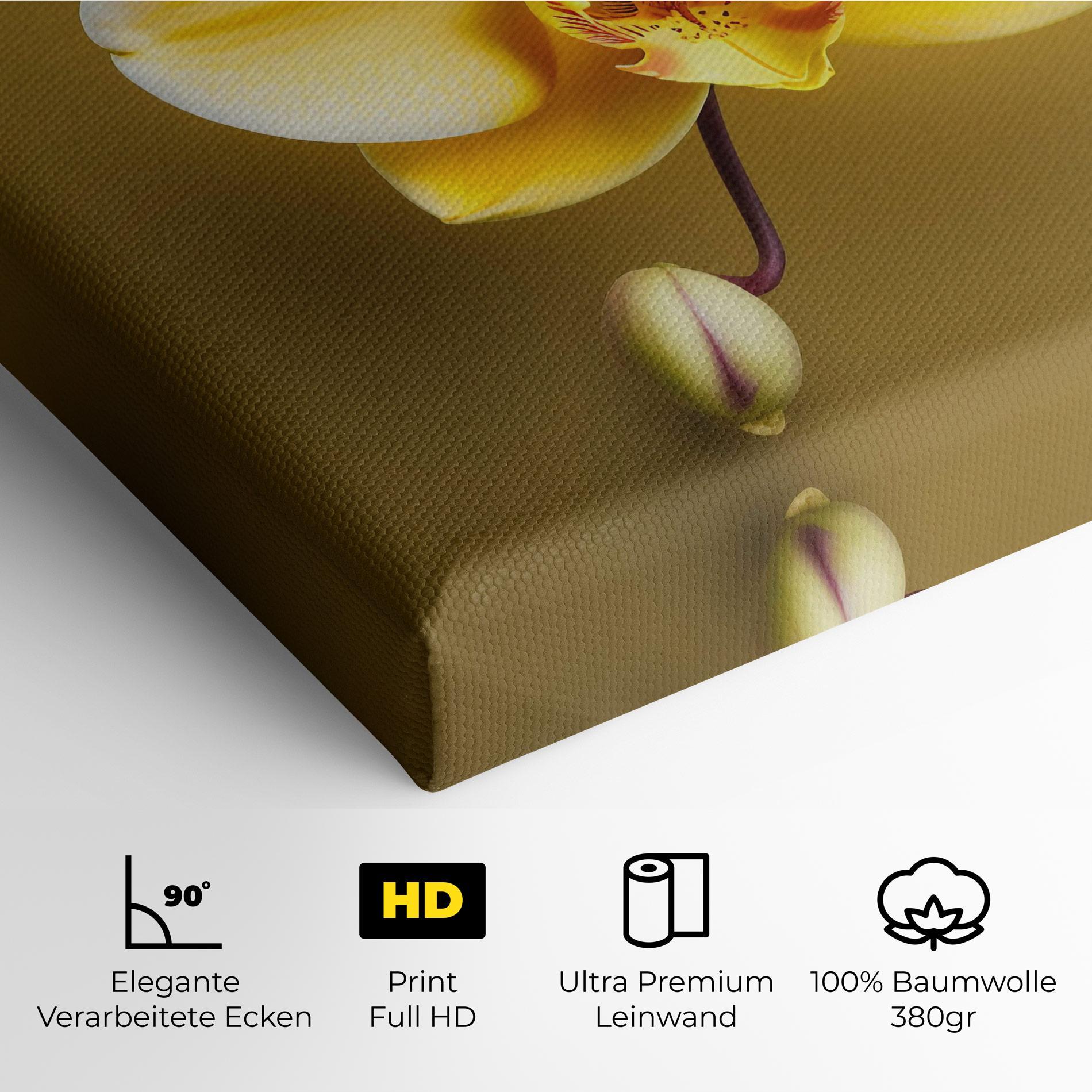 Leinwandbild Pastel Yellow Orchid mockup 4