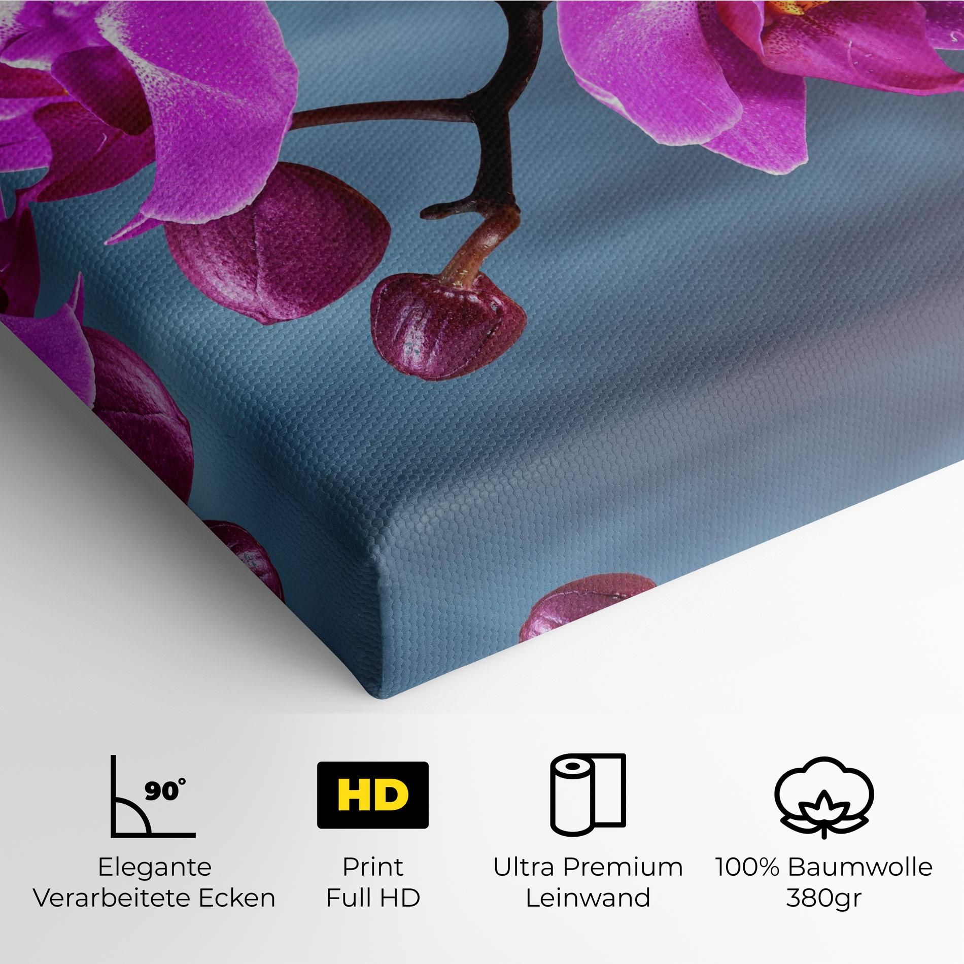 Sky Purple Orchid mockup 4