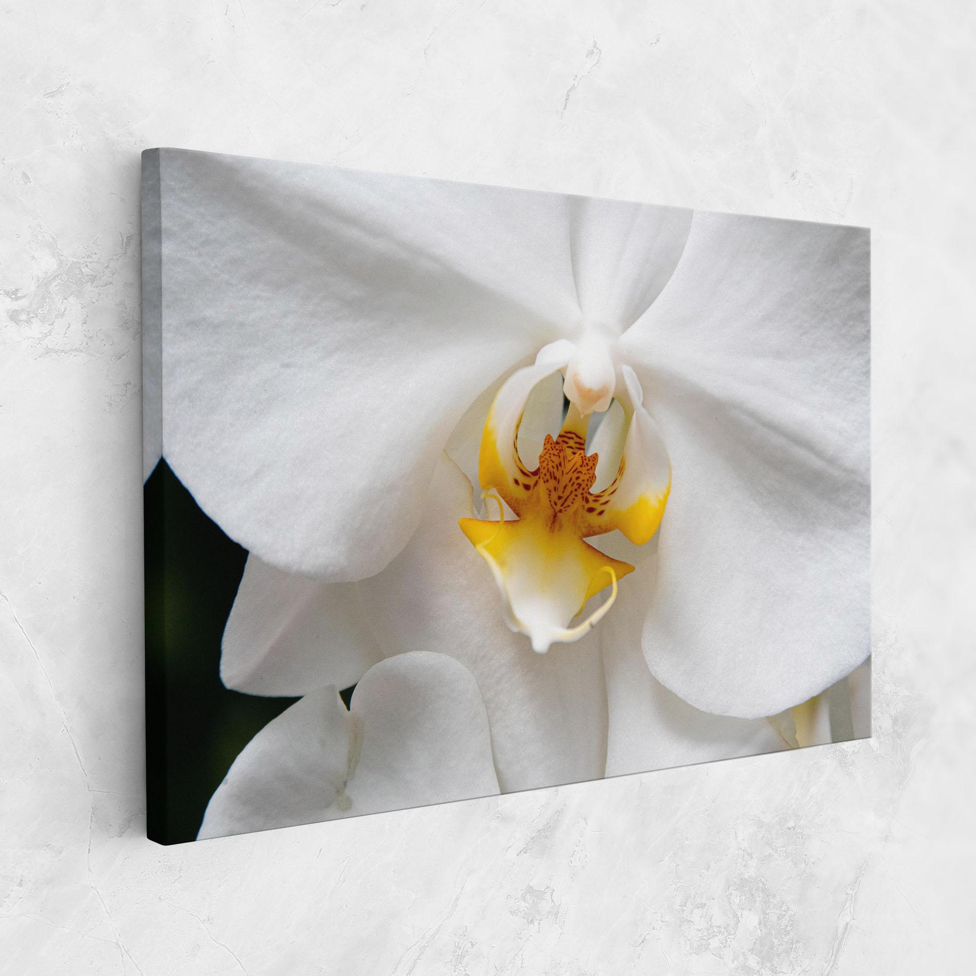 Leinwandbild Big Orchid Close Up mockup 1