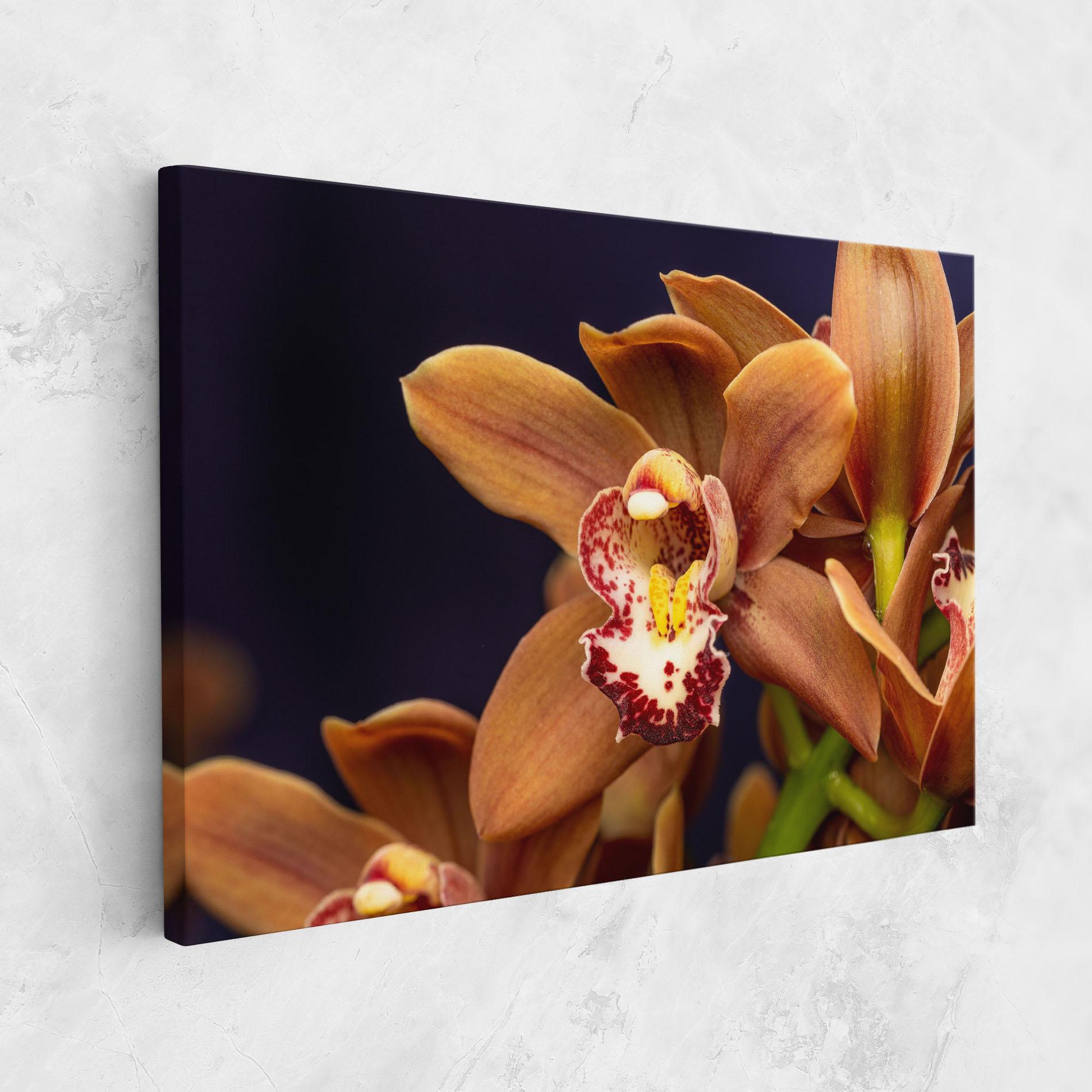 Leinwandbild Dirty Orange Orchid mockup 1