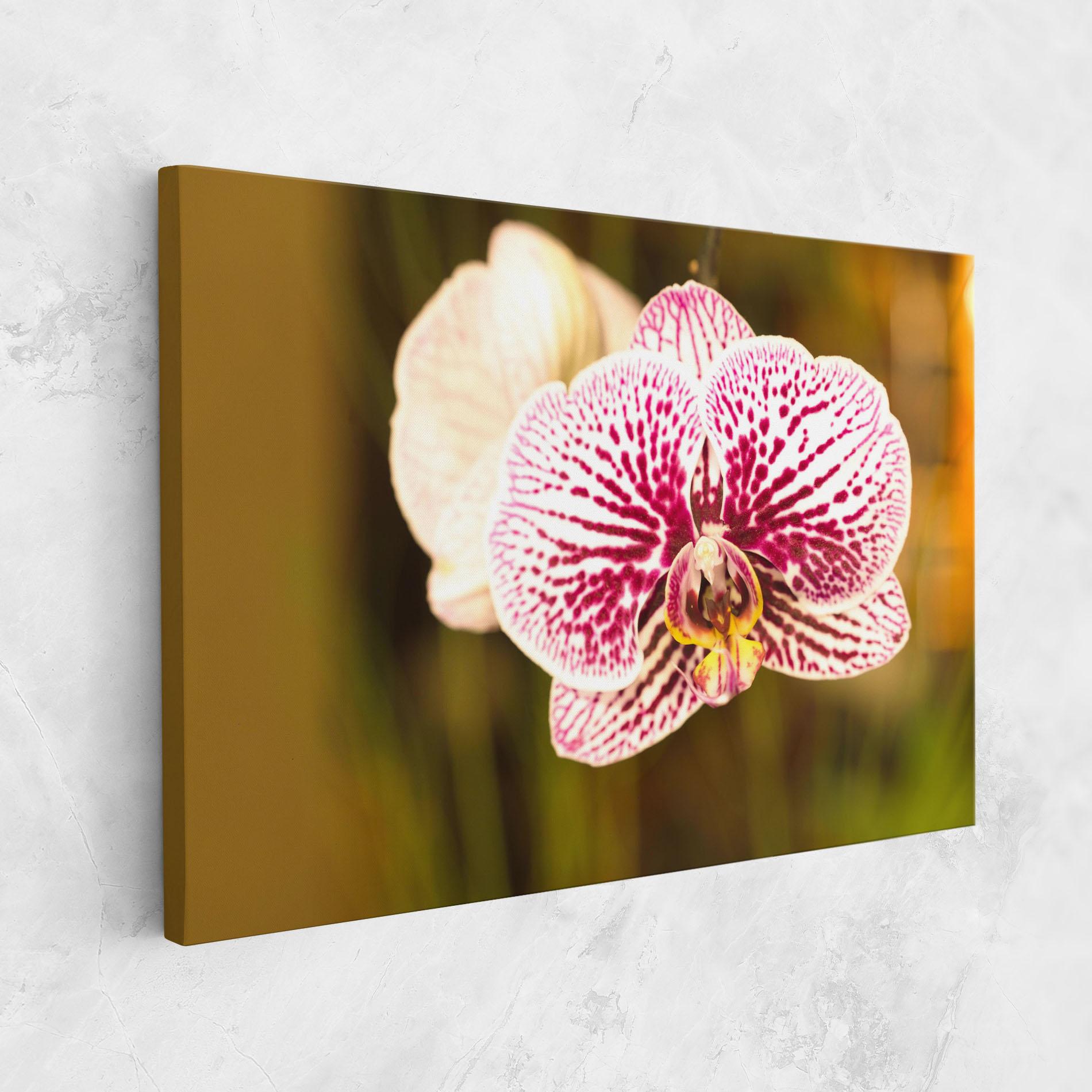 Leinwandbild Garden Orchids mockup 1