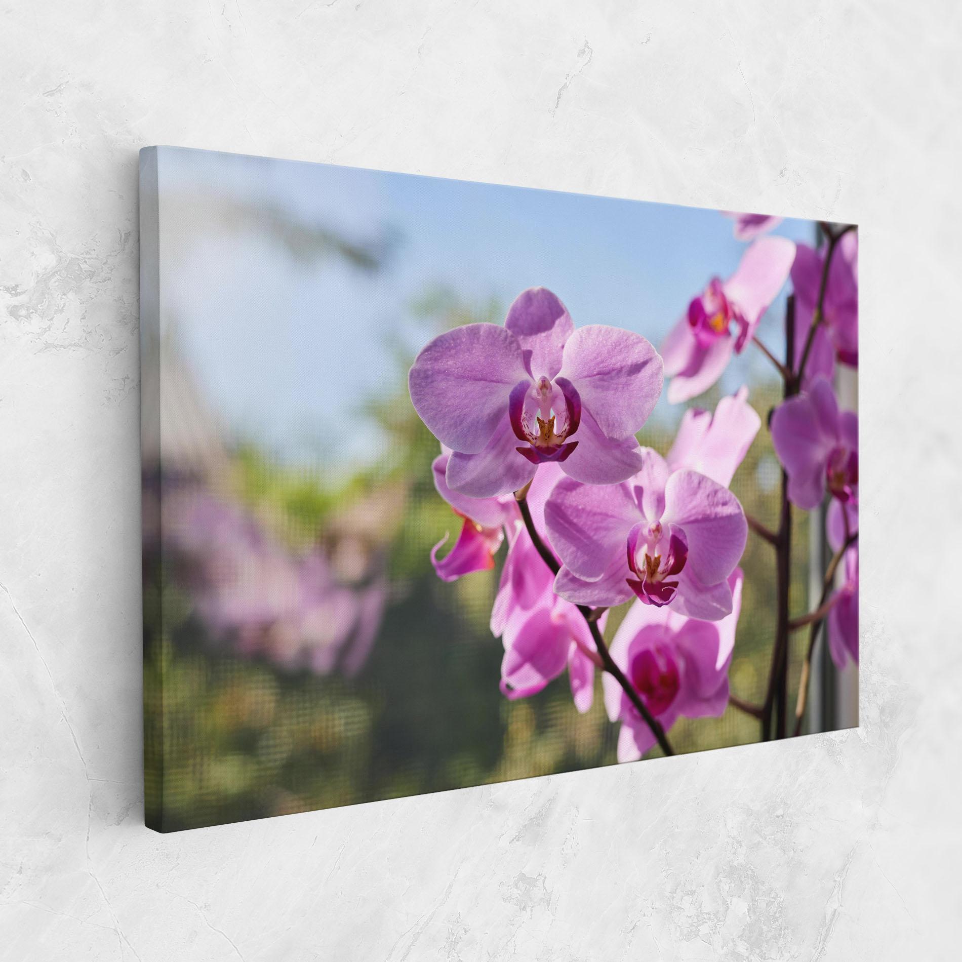 Leinwandbild Orchids In The Garden mockup 1