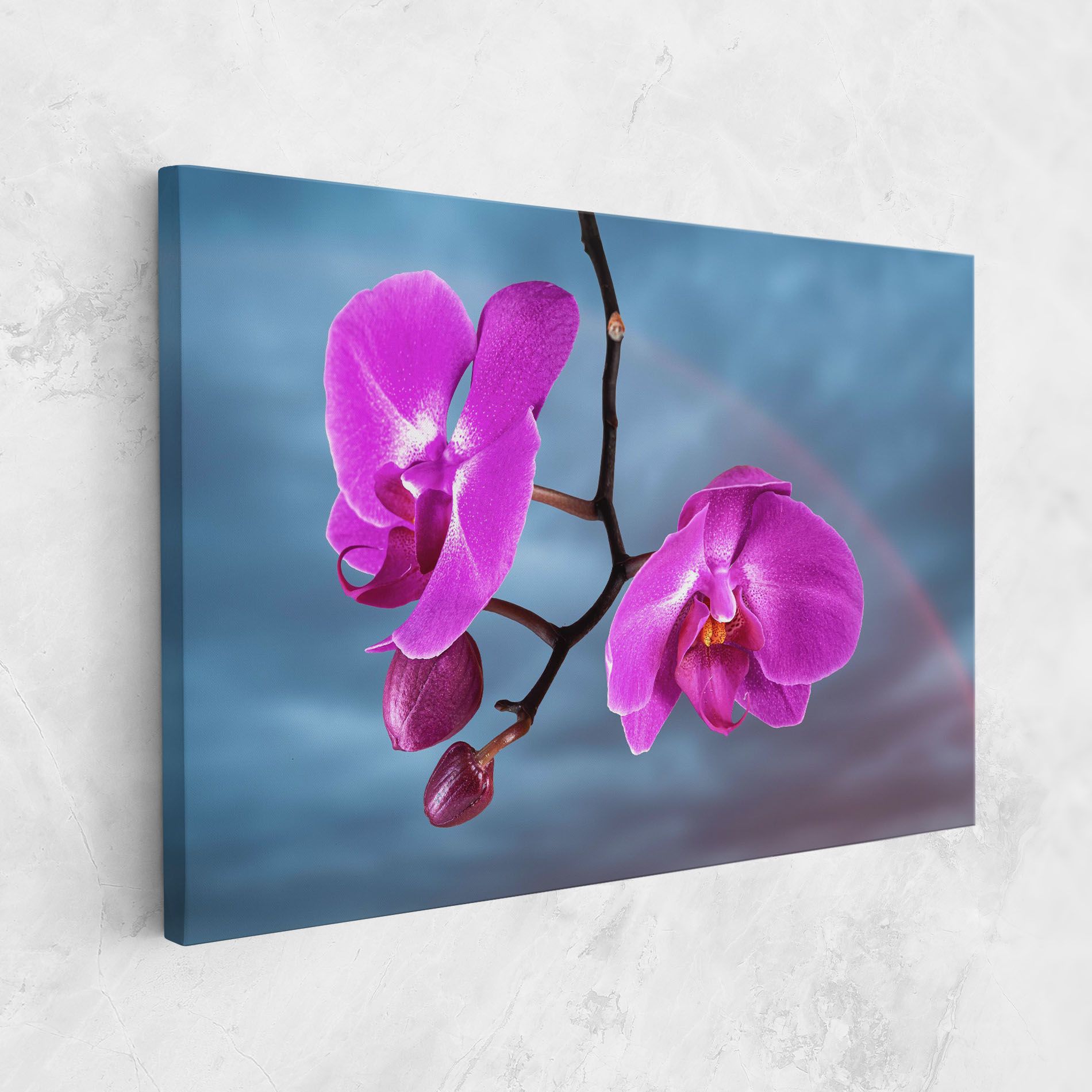 Sky Purple Orchid mockup 1