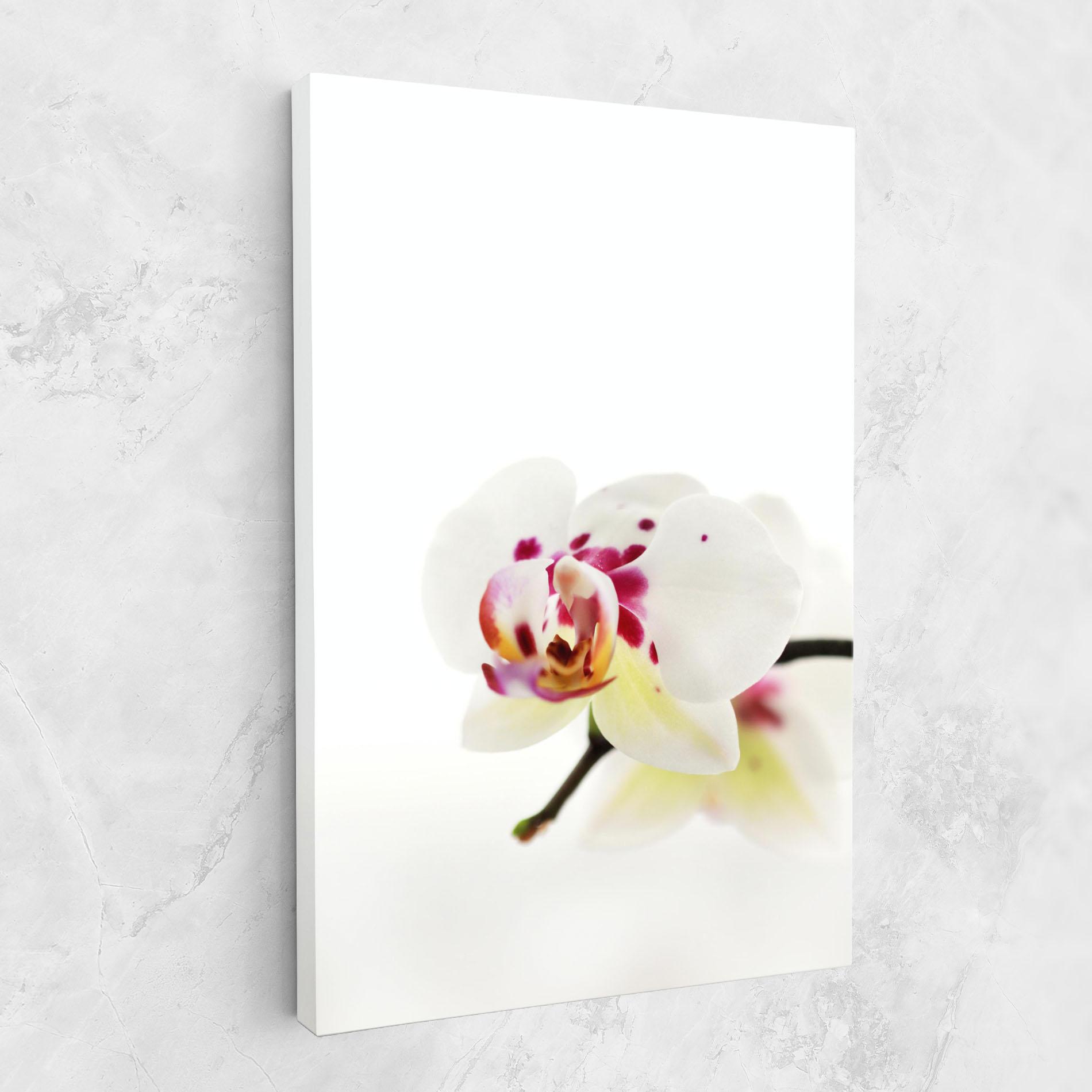 Leinwandbild Clean White Orchid mockup 1