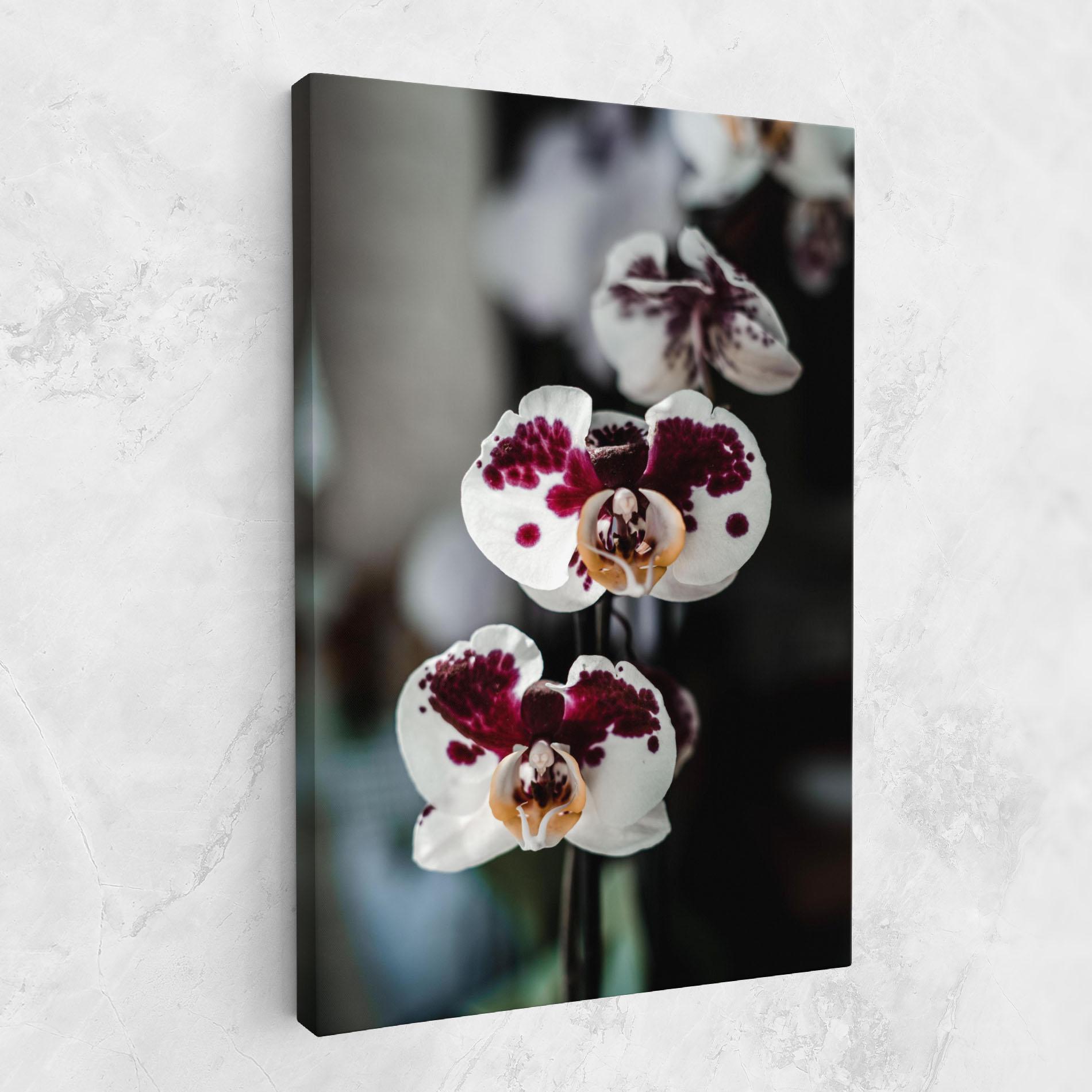 Leinwandbild Dark Purple Orchid mockup 1