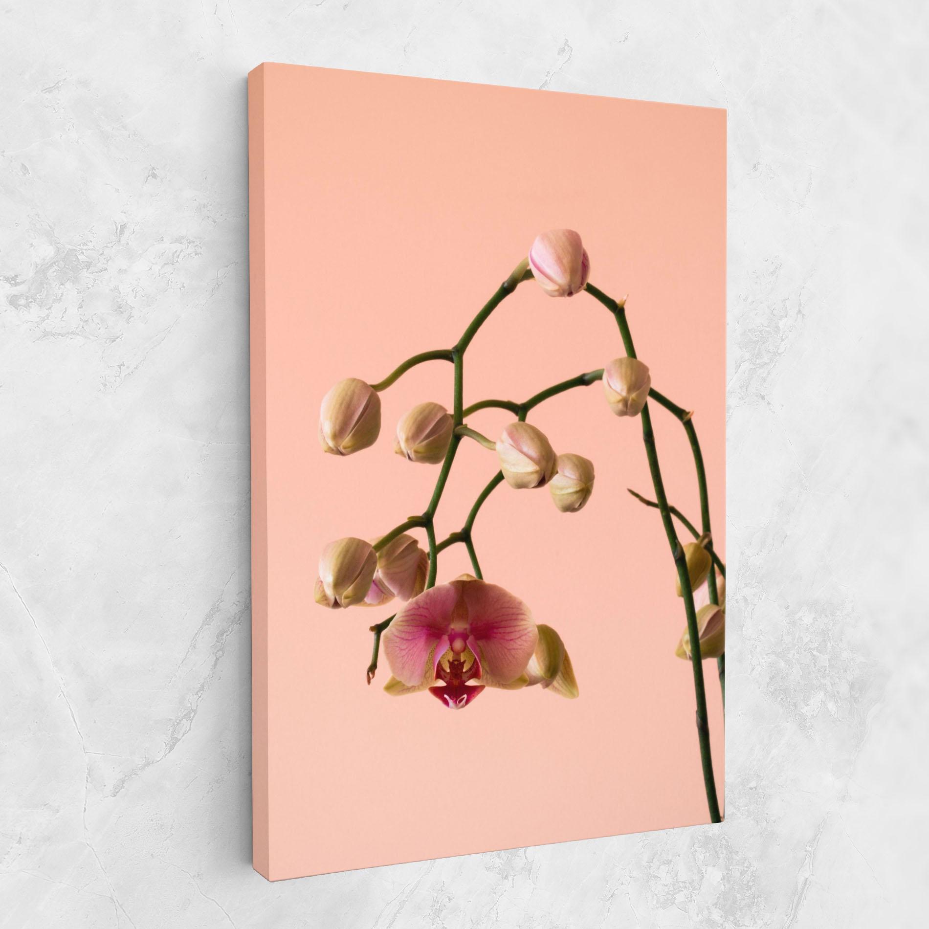 Leinwandbild Orchids On Pink mockup 1