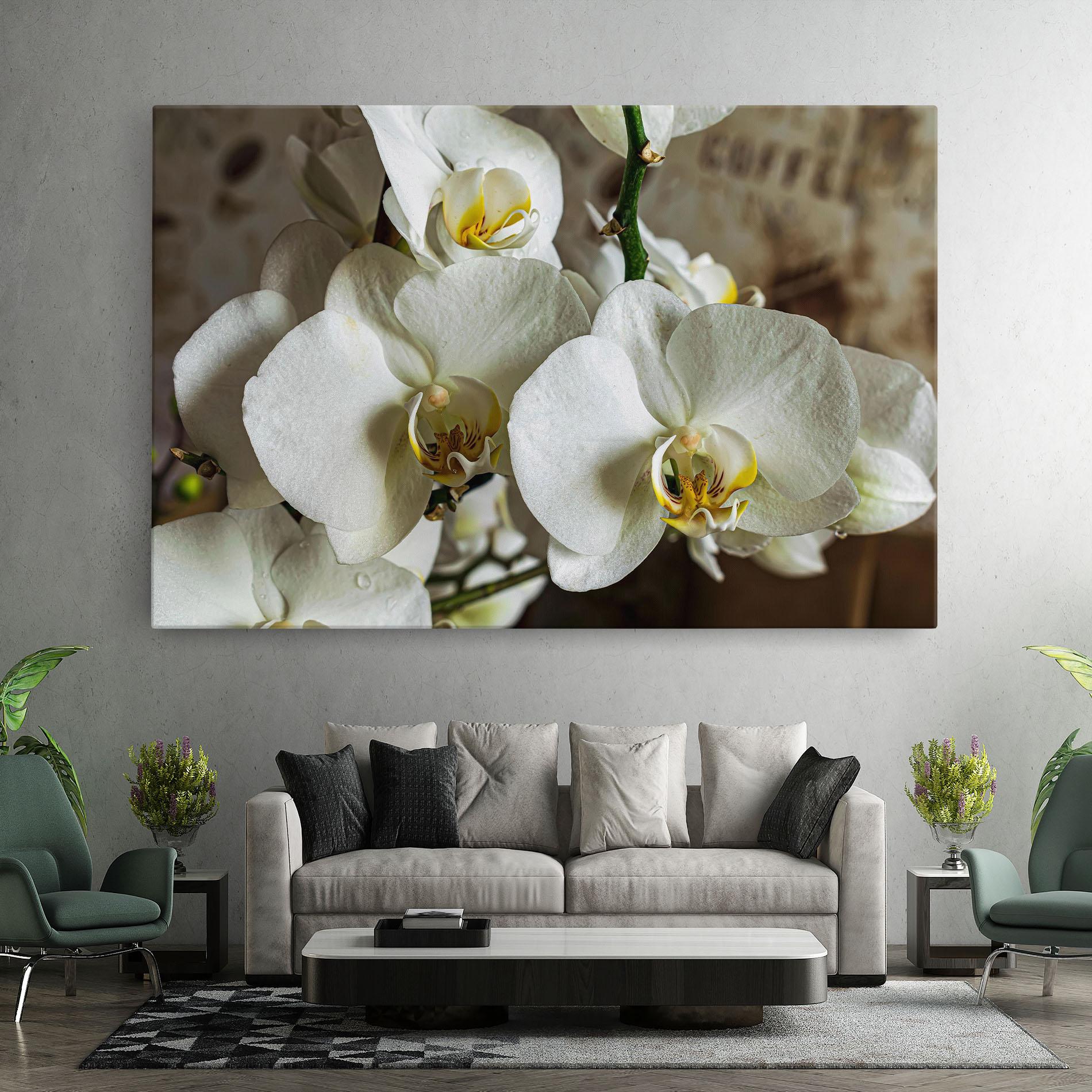 Leinwandbild Beautiful White Orchids mockup 7