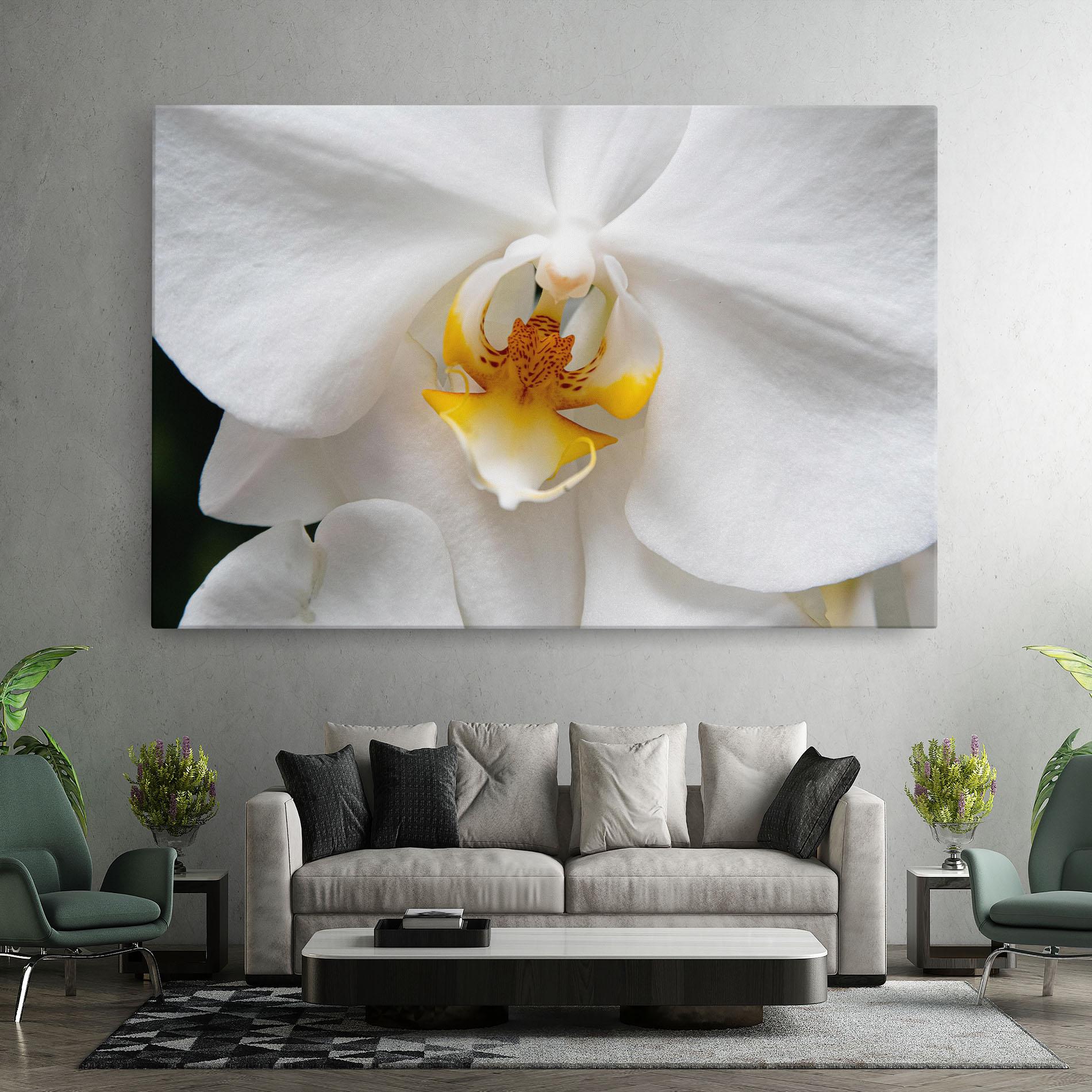 Leinwandbild Big Orchid Close Up mockup 7