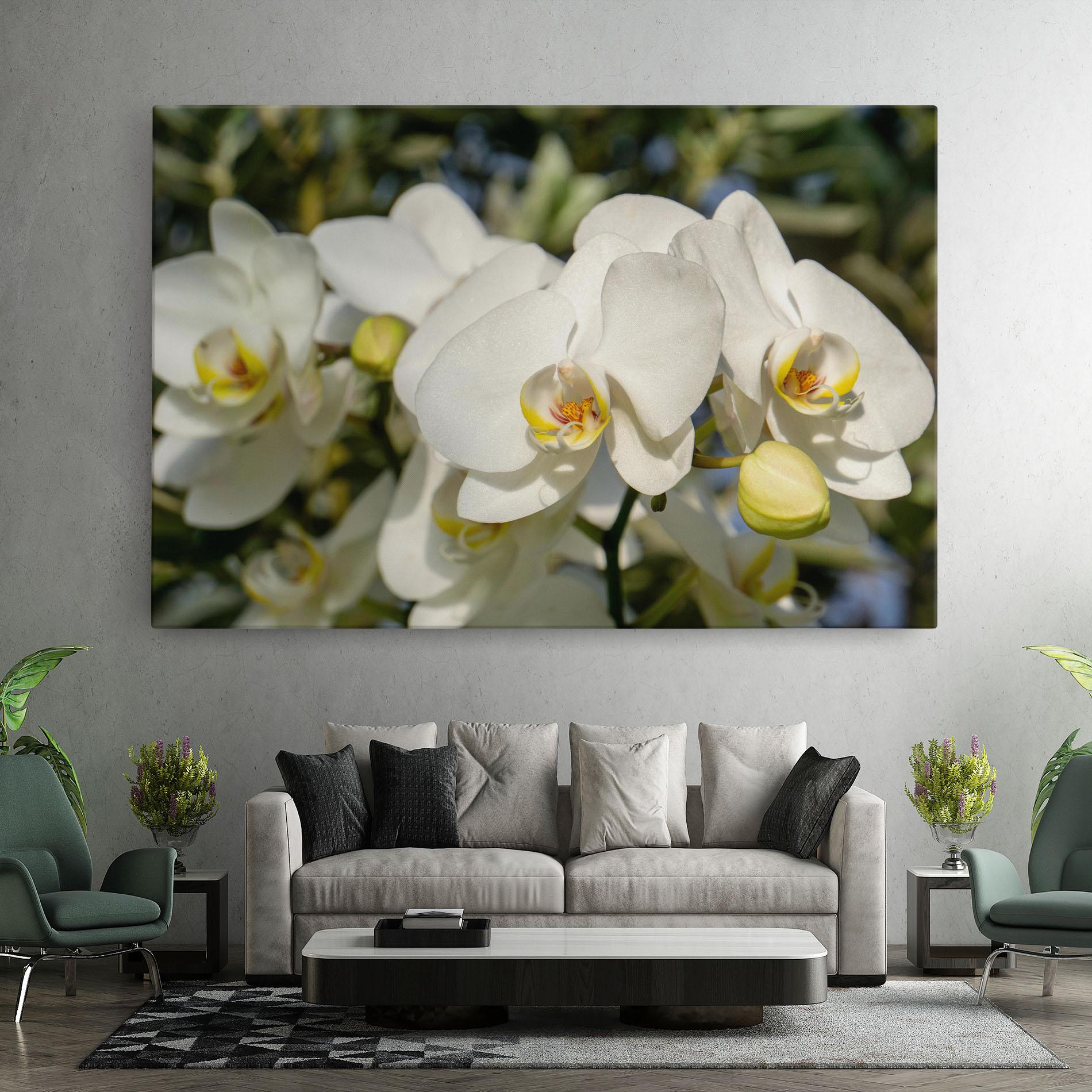 Leinwandbild Big Orchids In Nature mockup 7