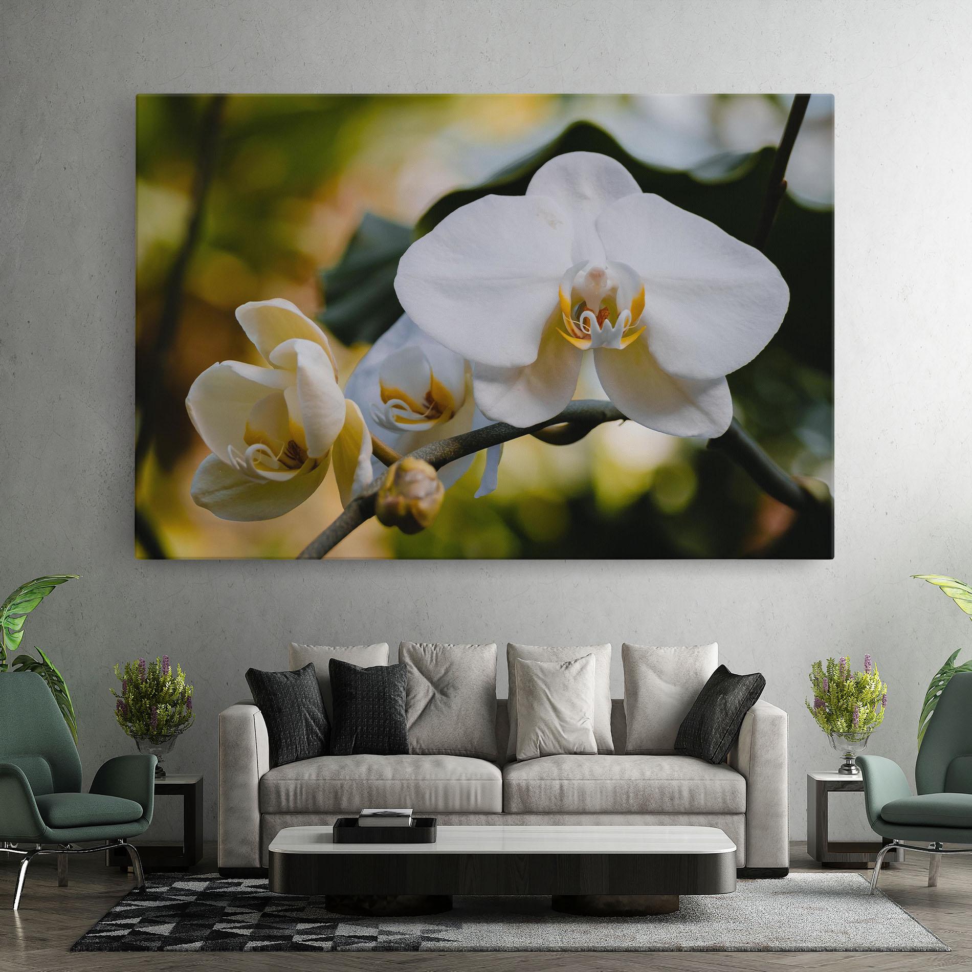 Leinwandbild Cream Orchid In Nature mockup 7