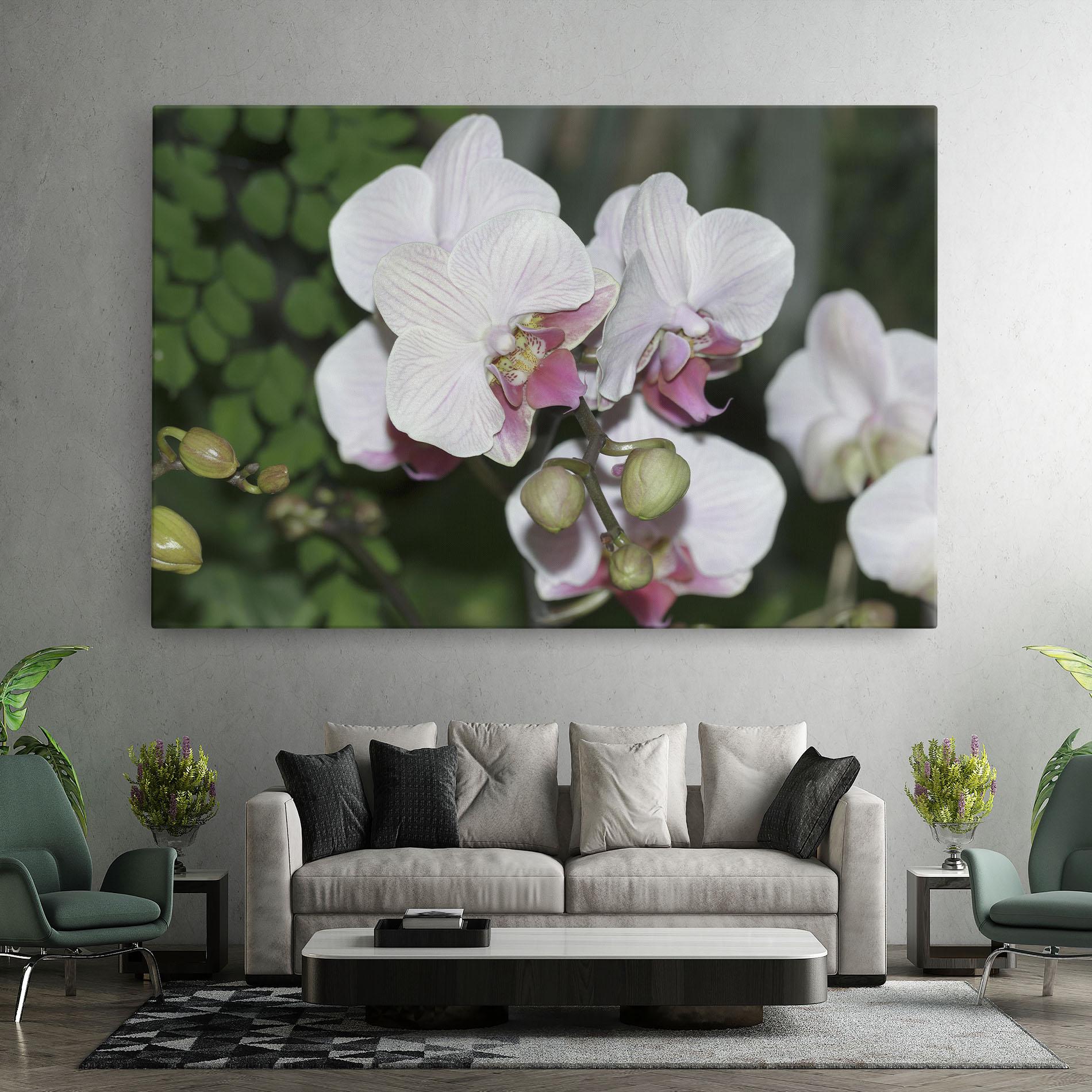 Leinwandbild Orchid Botanical Garden mockup 7