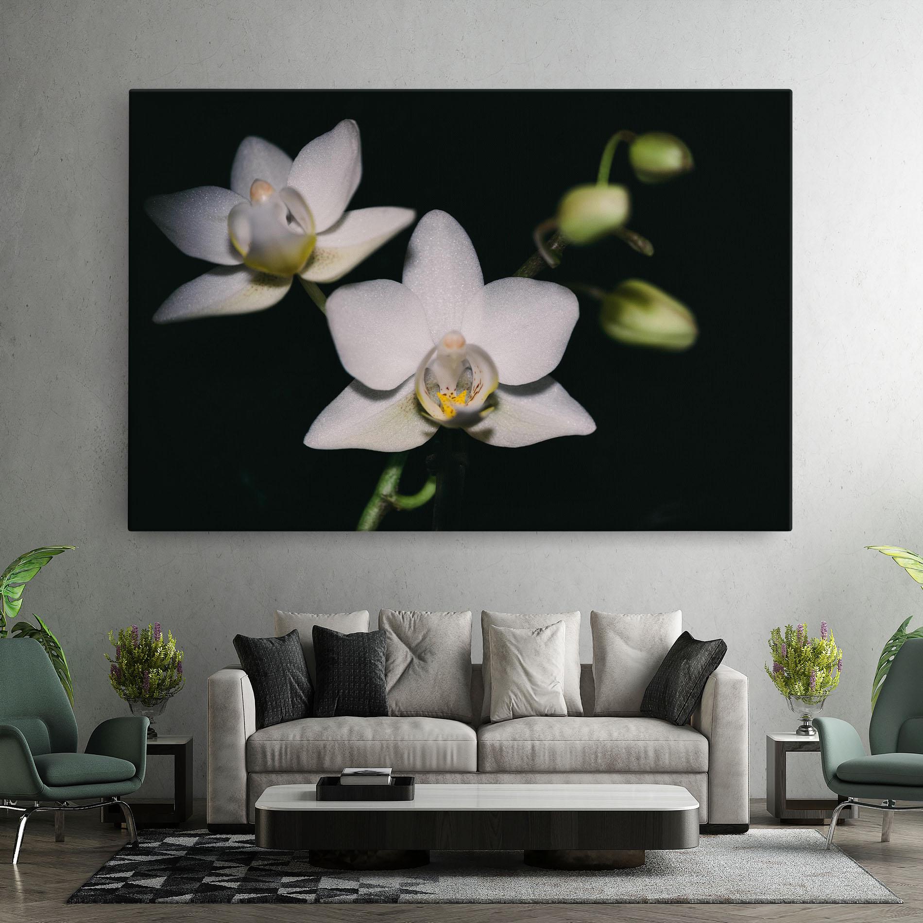 Leinwandbild Orchids On Black mockup 7