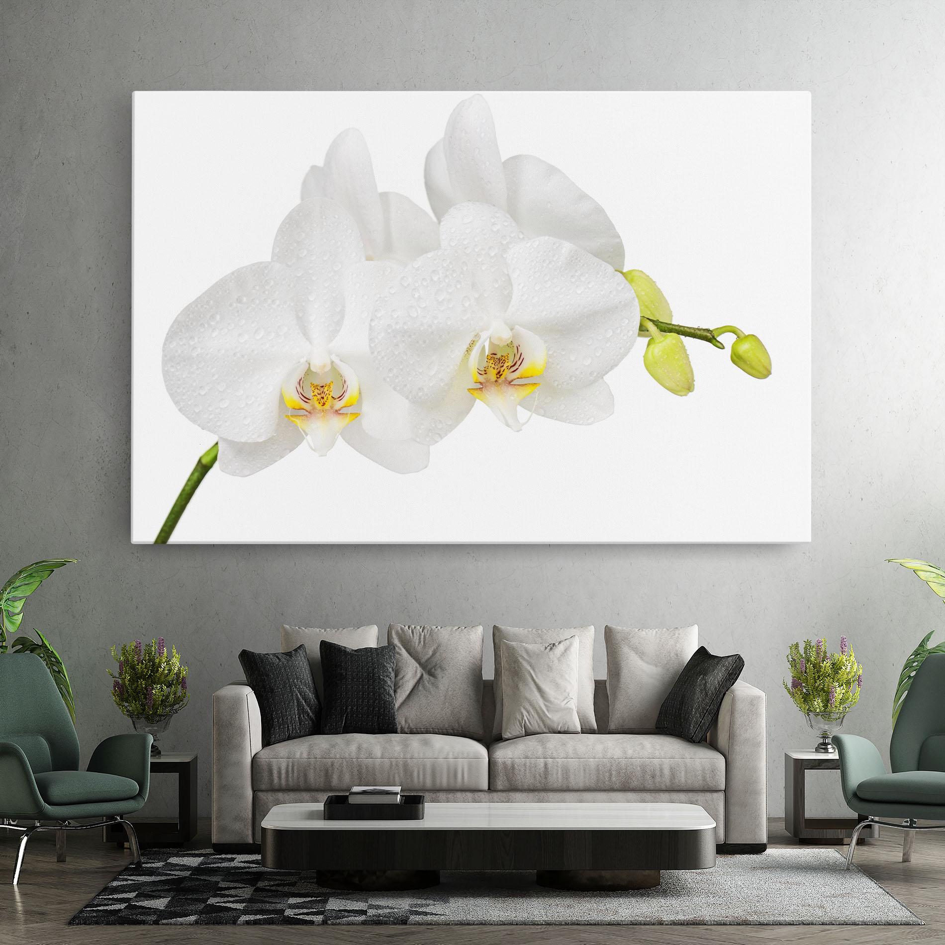 Leinwandbild Orchids On White mockup 7