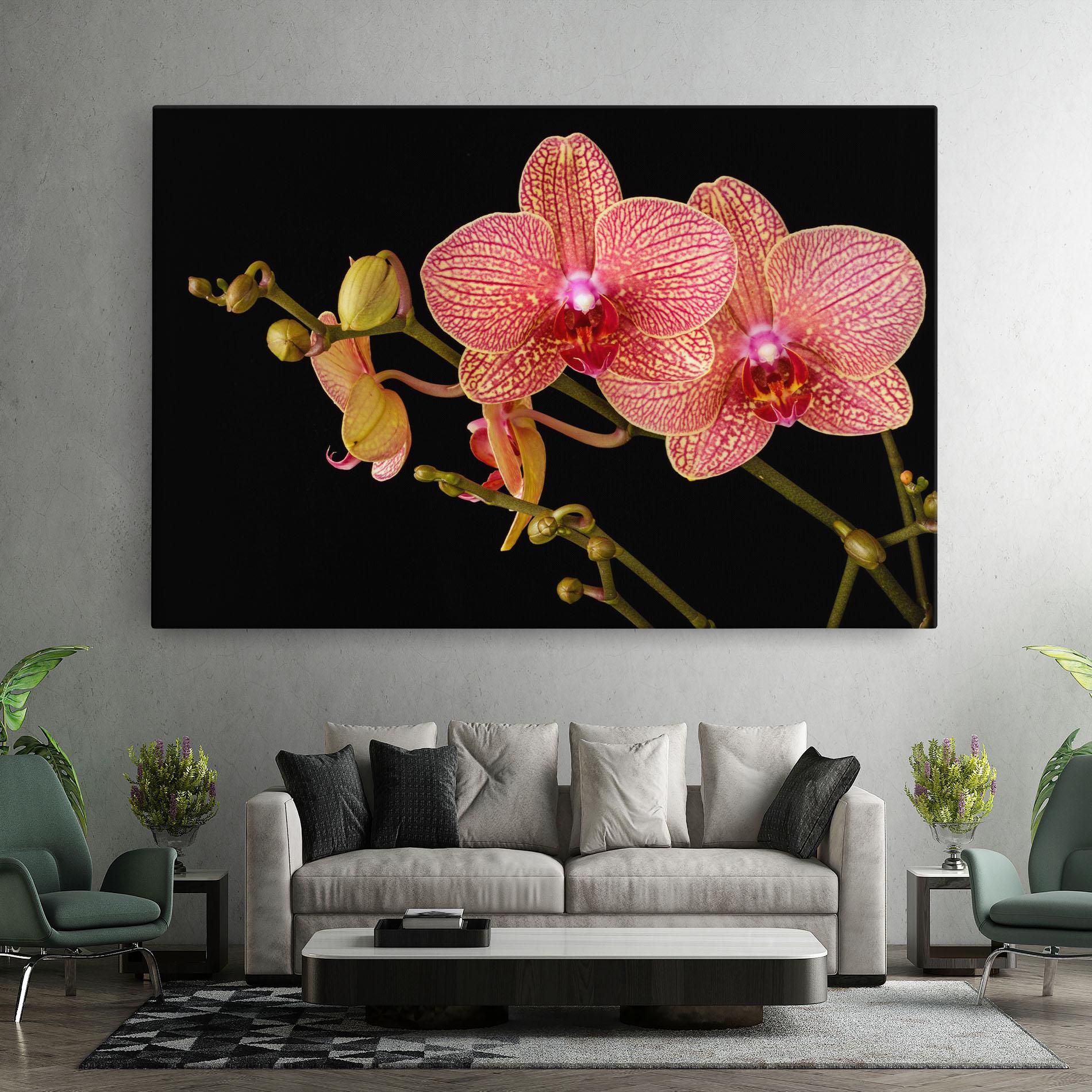Leinwandbild Pink Orchids On Black mockup 7