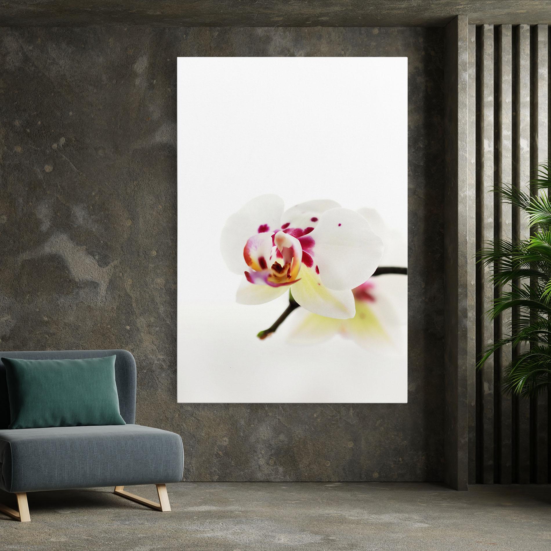 Leinwandbild Clean White Orchid mockup 7